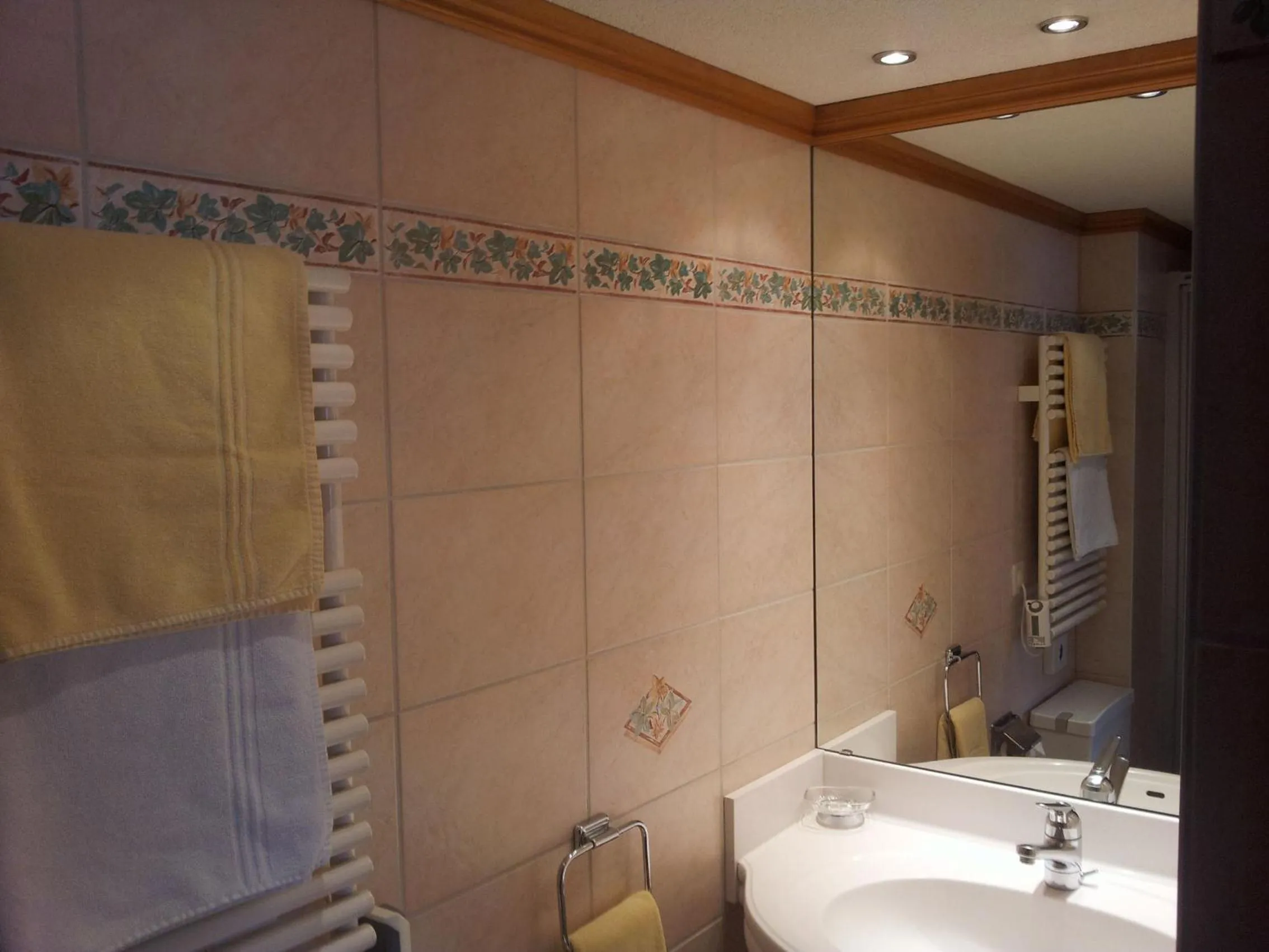 Bathroom in Hotel Dufour Alpin Superior - Adults only