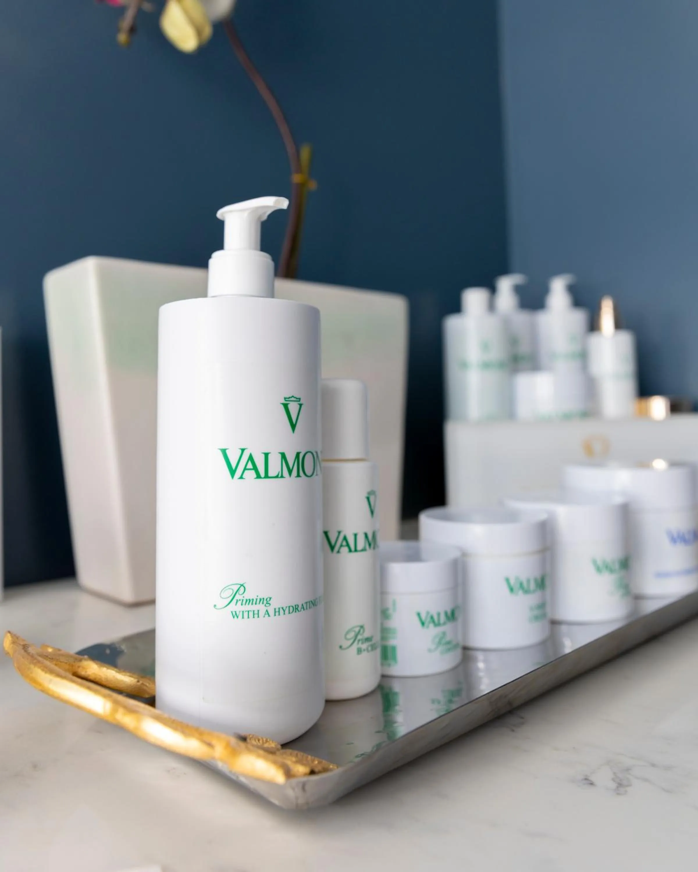 Francis Marion Hotel