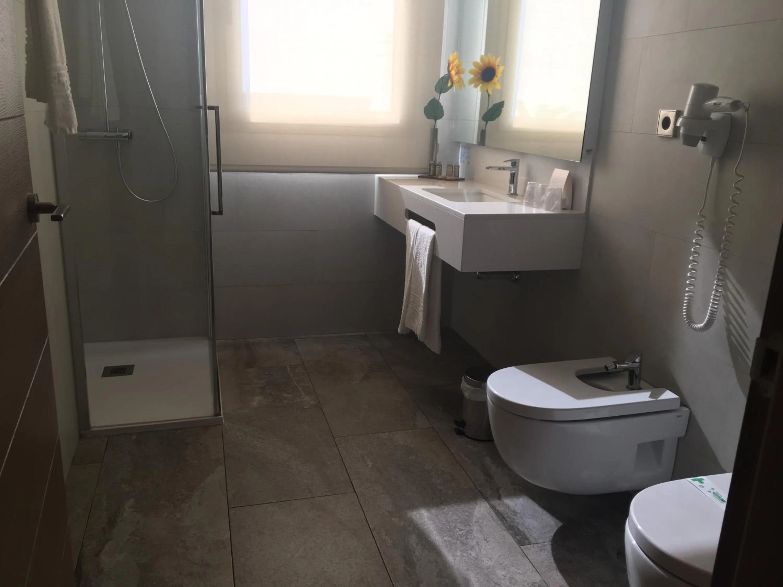 Shower in Hotel Venta Baños