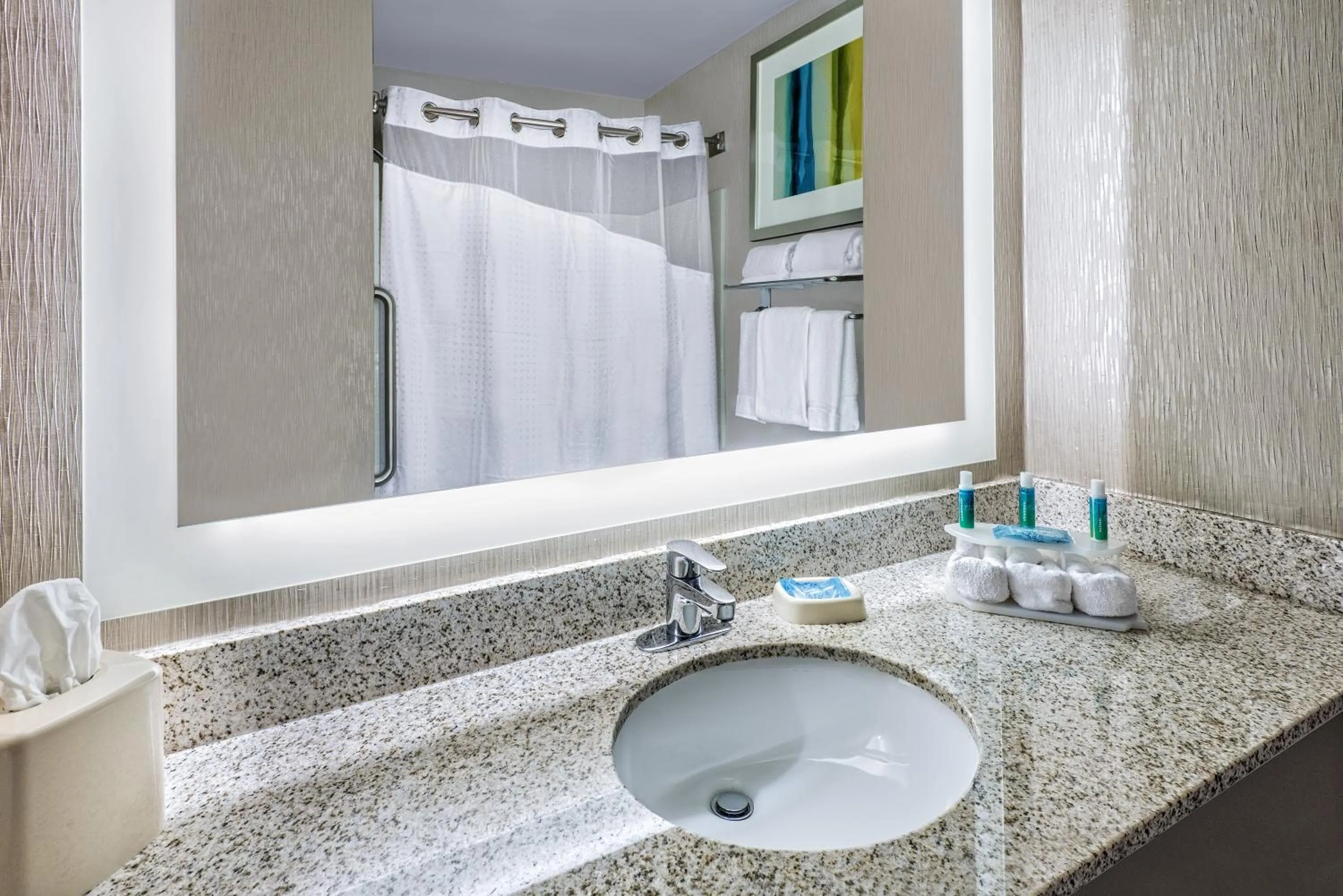 Bathroom in Holiday Inn Express Hotel and Suites Fort Worth/I-20