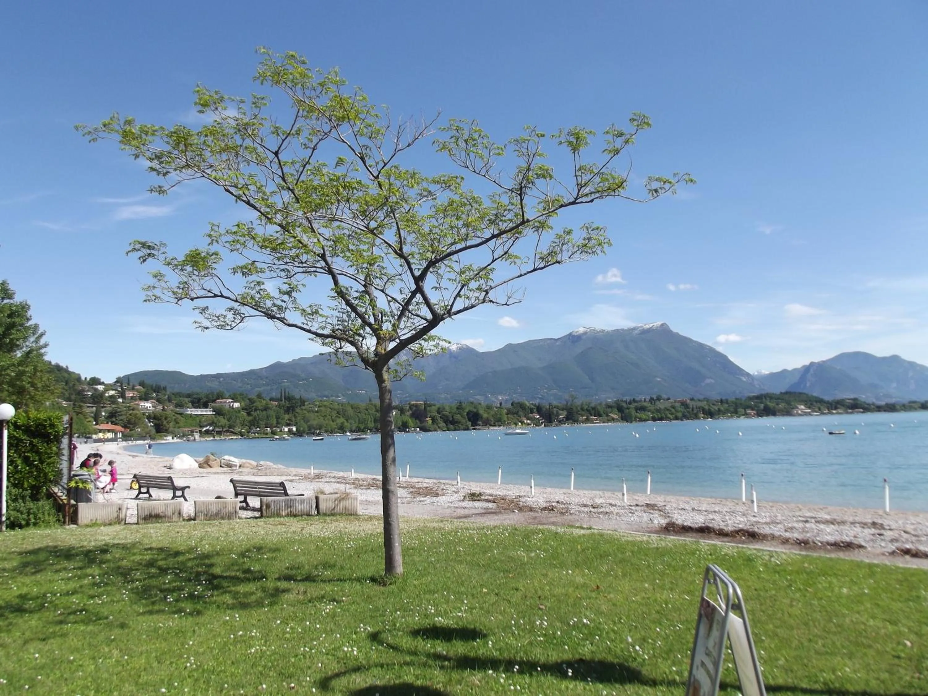 Other in Hotel La Romantica