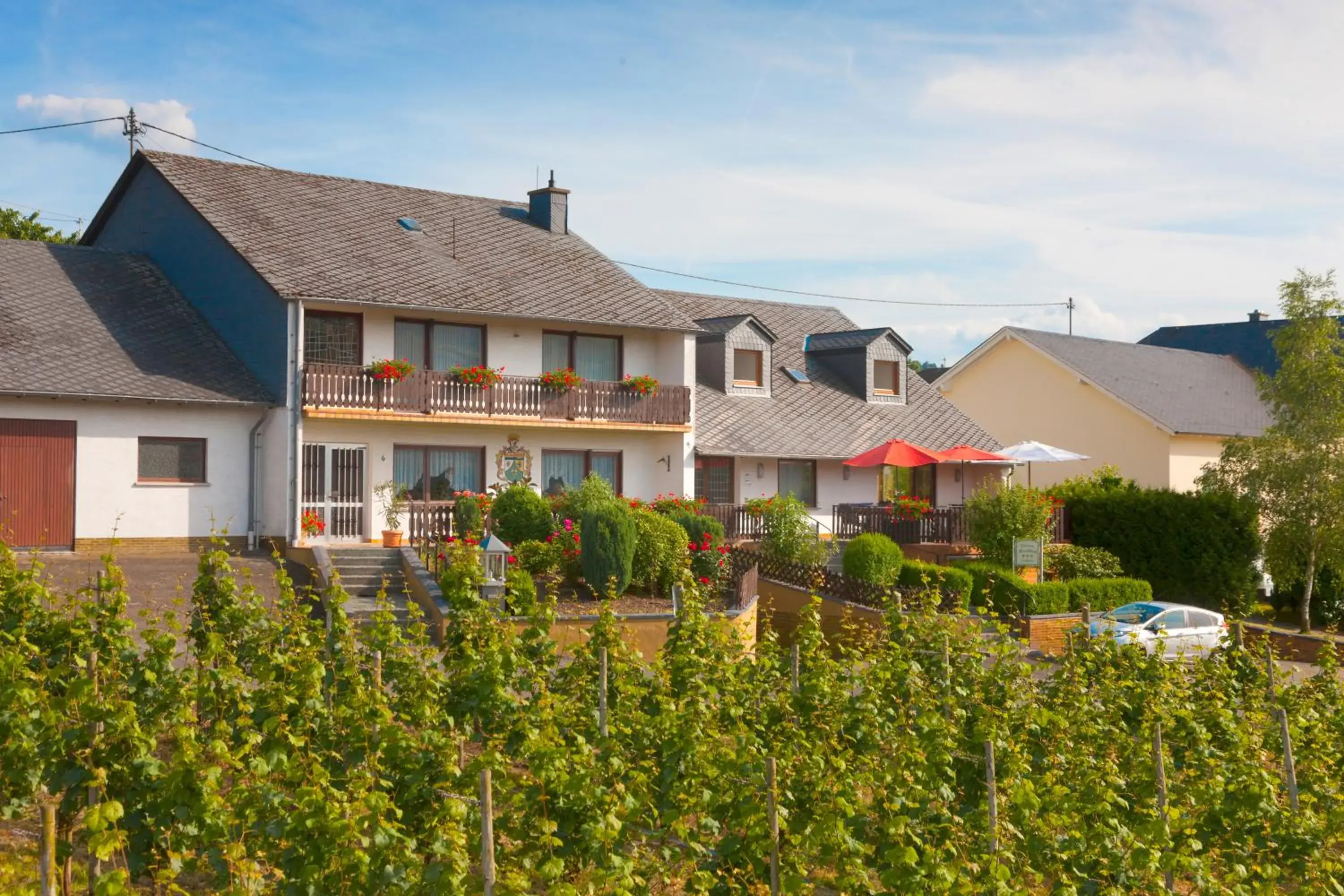 Pension und Weingut Moselblick Pension und Weingut Moselblick
