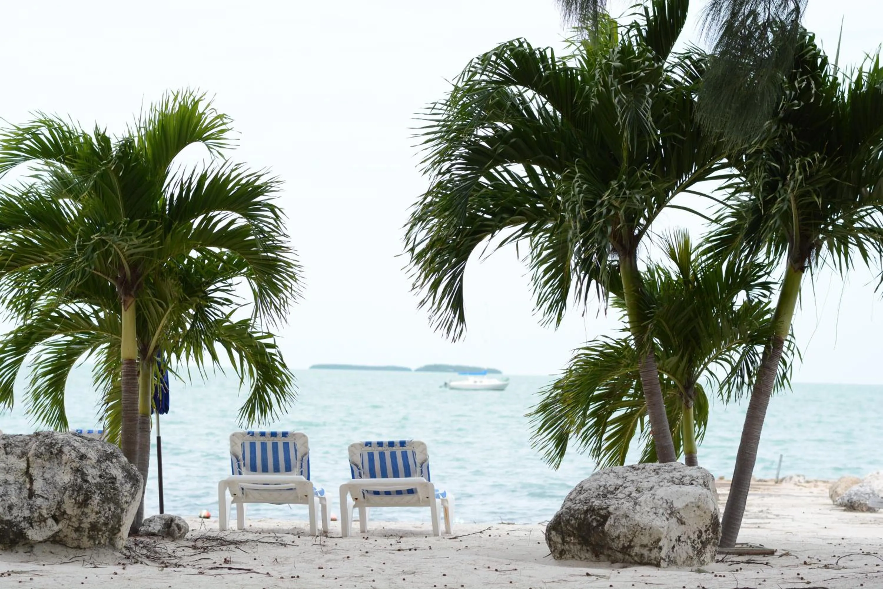 Day in Topsider Resort