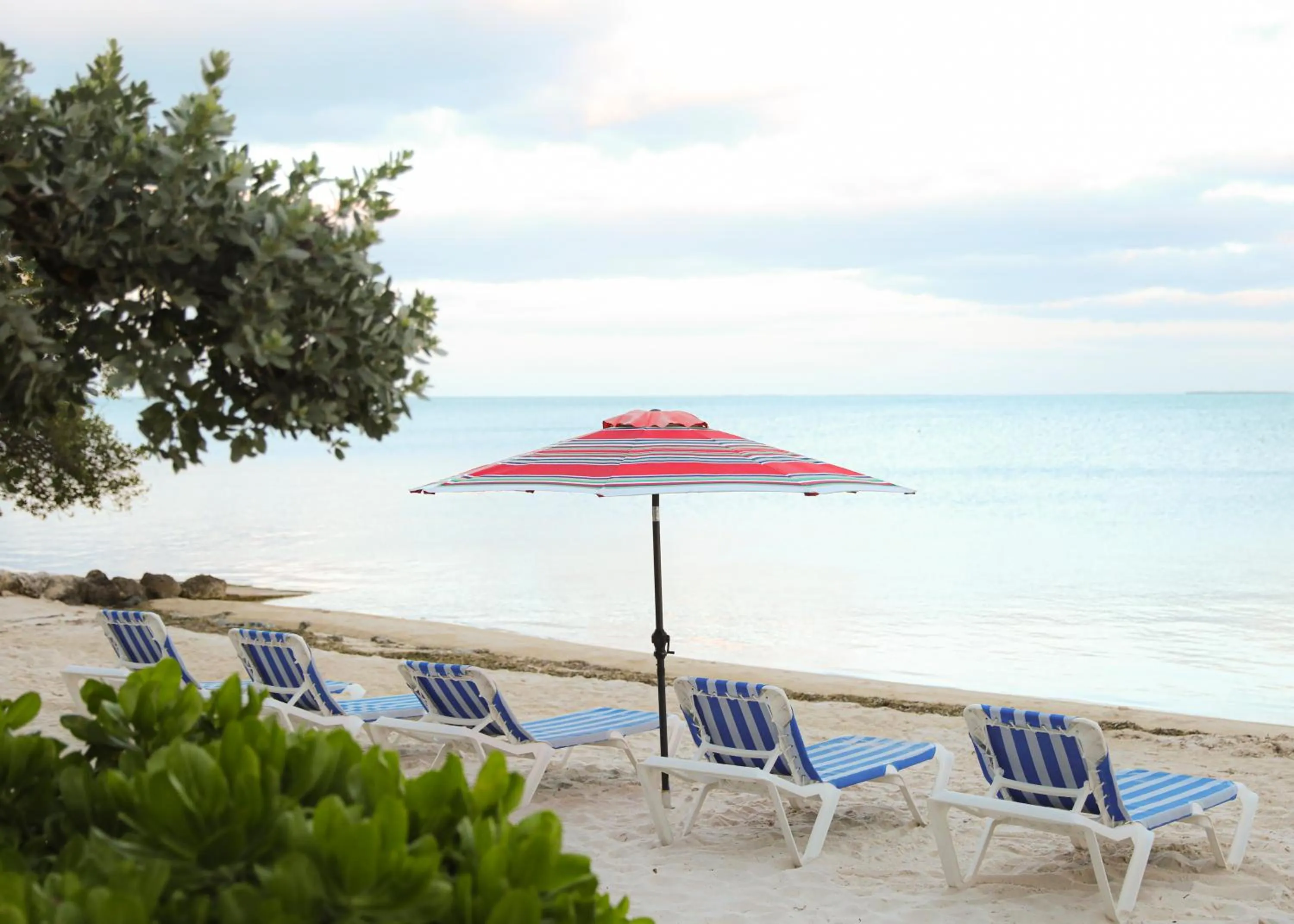 Day in Topsider Resort