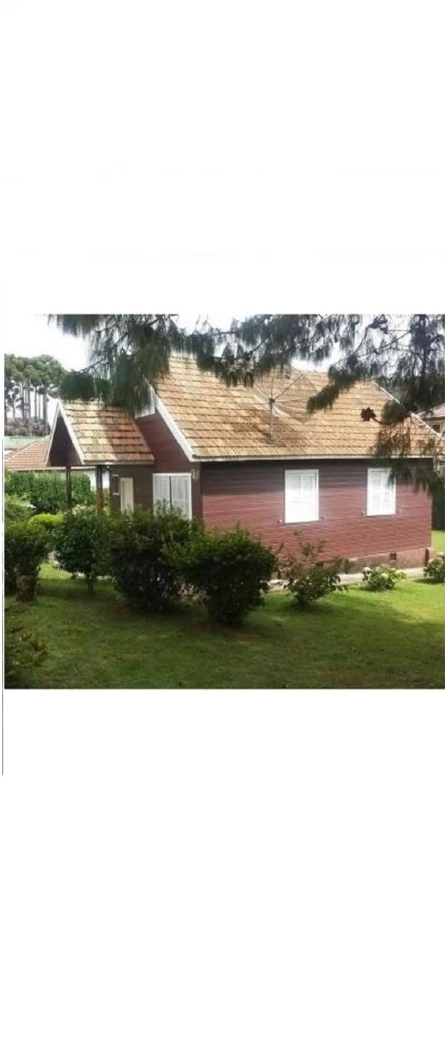 Property building in Chale de Madeira - Lareira e Fogueira---lindo gramado com mesa para café da manhã, churrasqueira e fogueira
