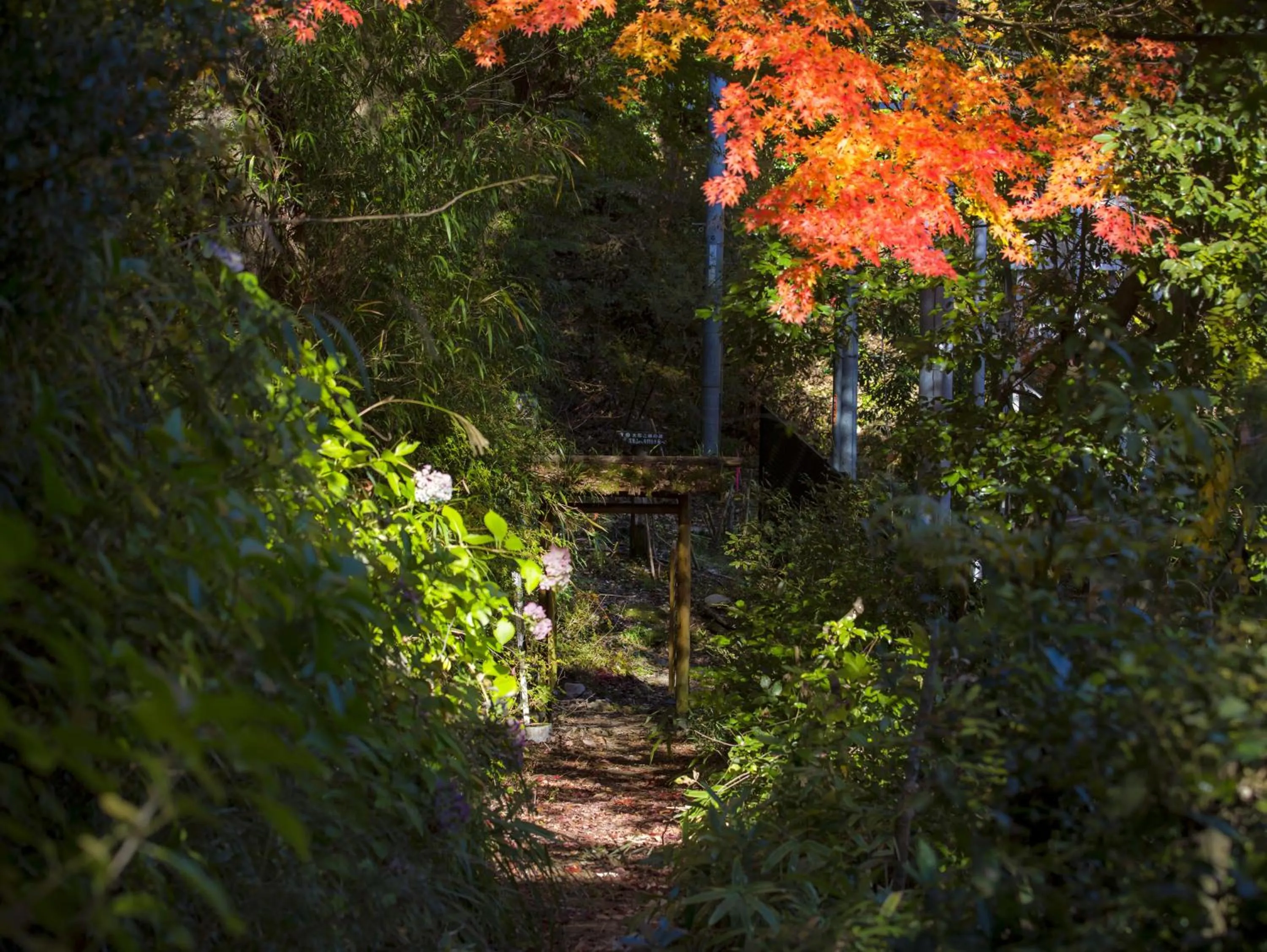 Garden in Hashinoya Bekkan Ransui