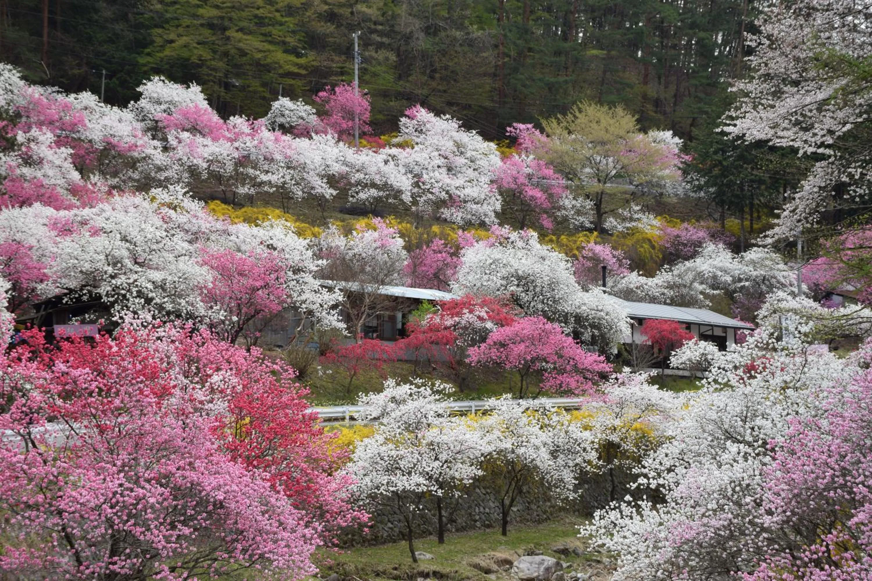 Nearby landmark in Hotel Yamabuki