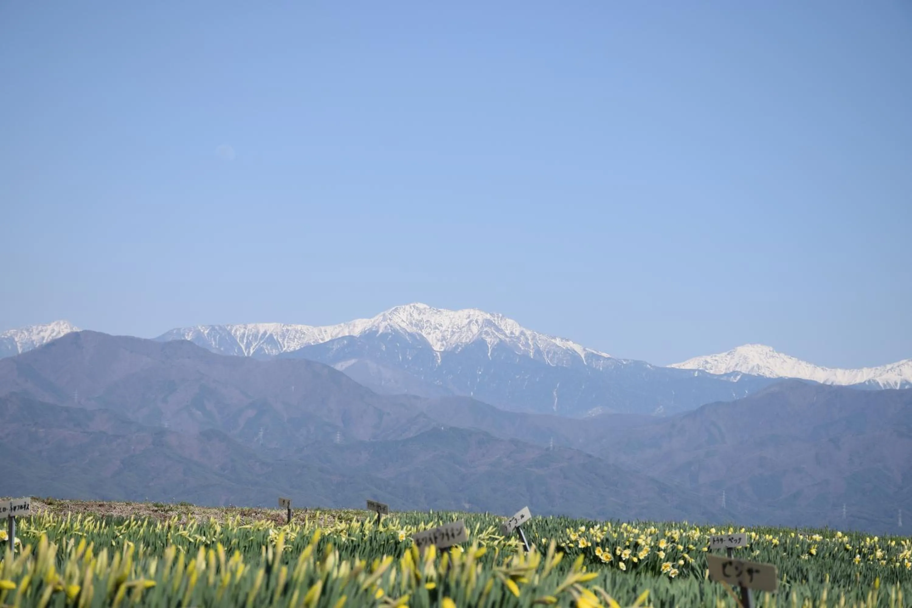 Nearby landmark in Hotel Yamabuki