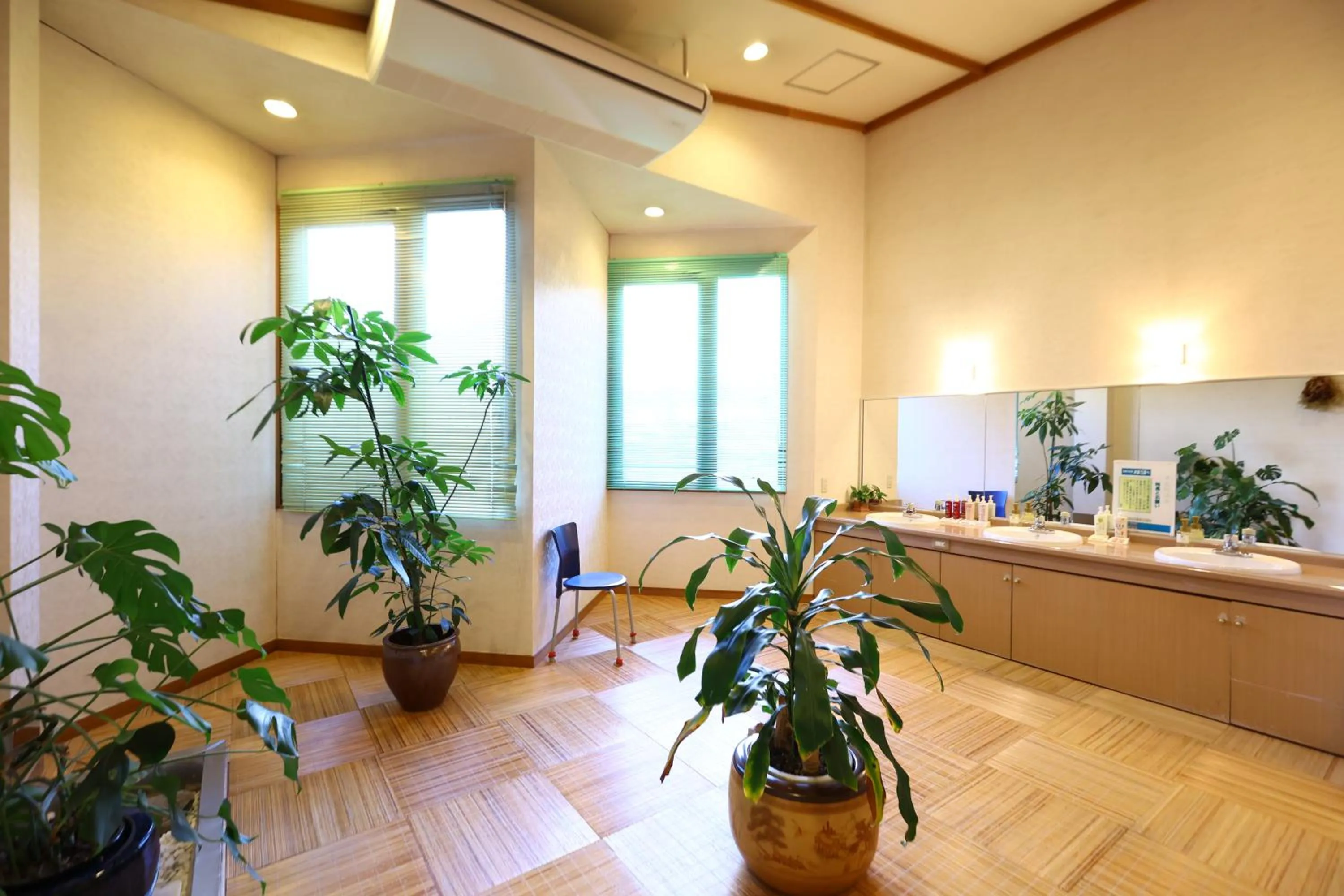 Public Bath in Hotel Yamabuki