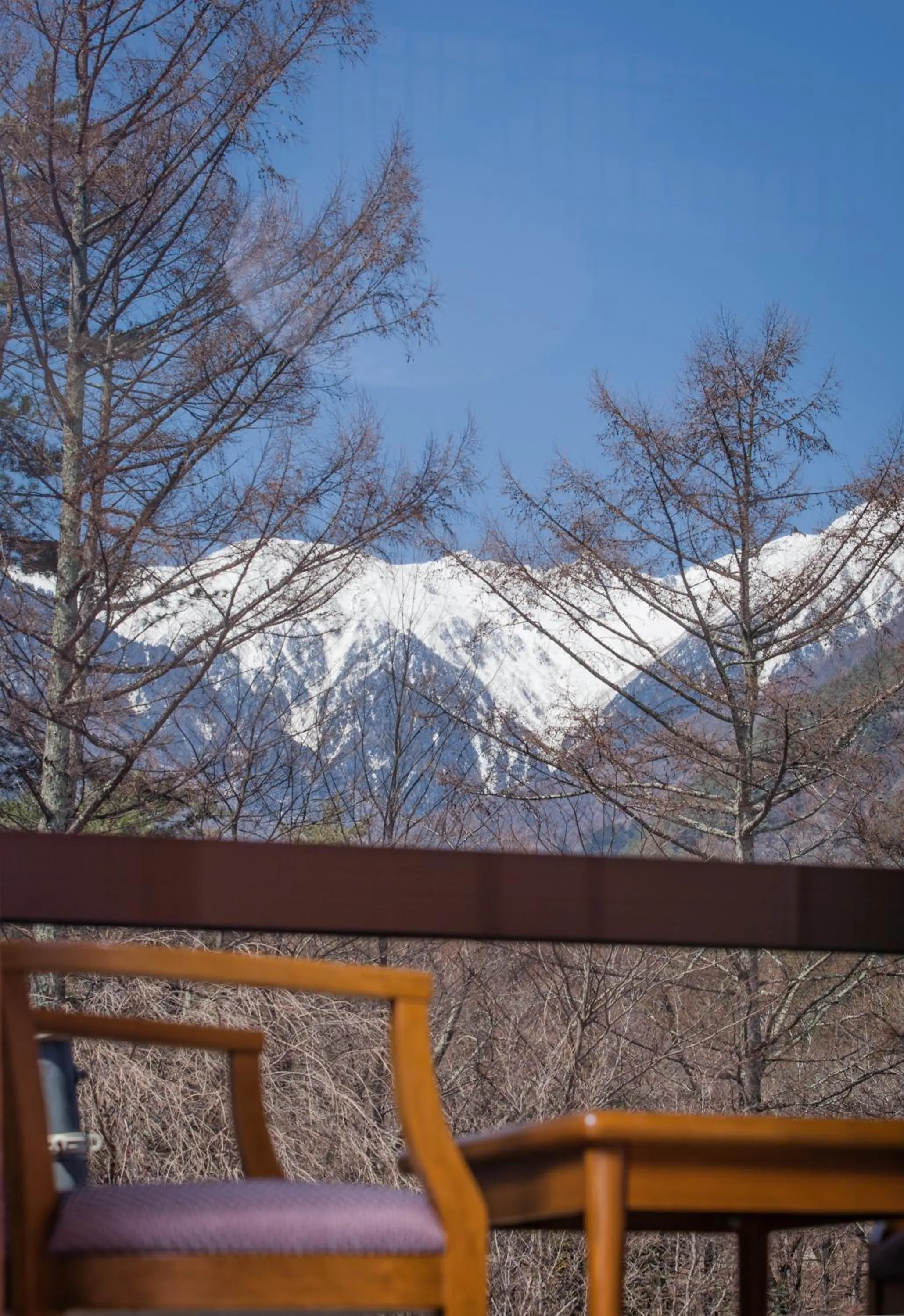 Mountain view in Hotel Yamabuki