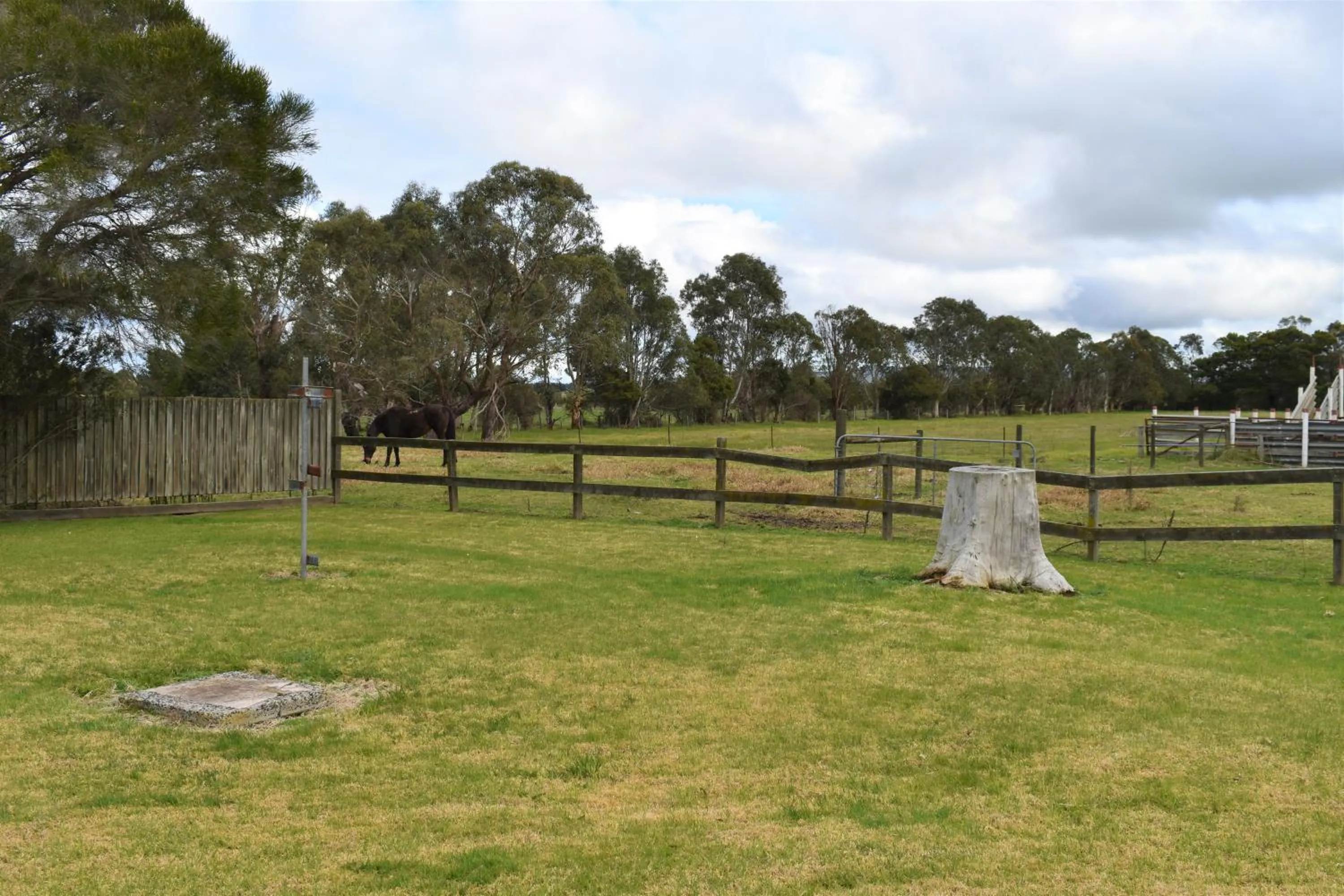 View (from property/room) in Ship Inn Motel Yarram