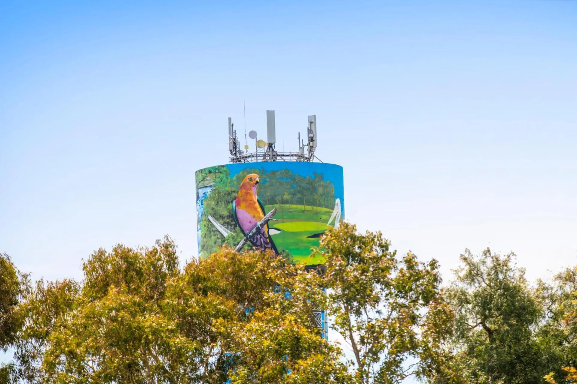 Activities in Ship Inn Motel Yarram