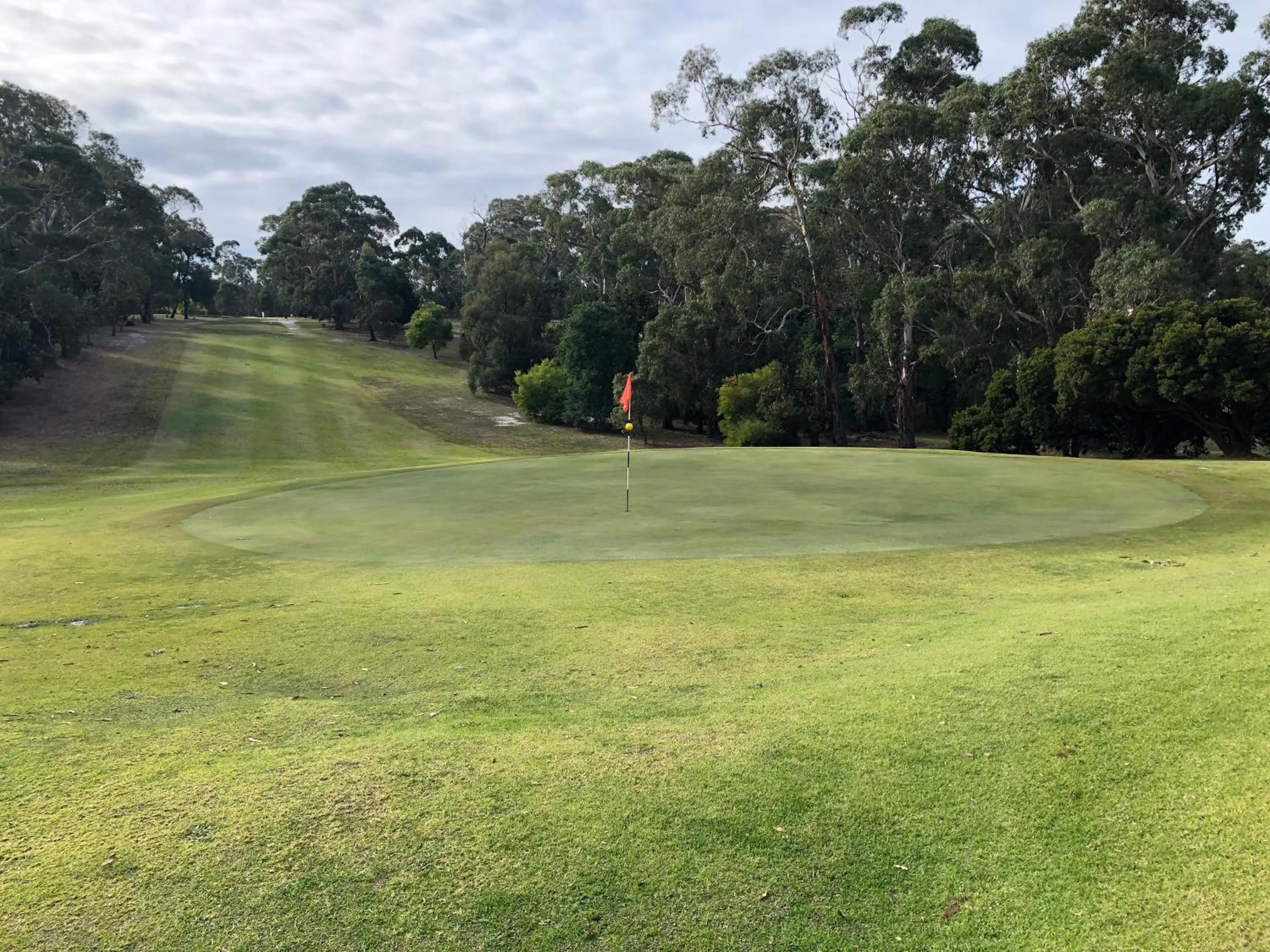Golfcourse in Ship Inn Motel Yarram