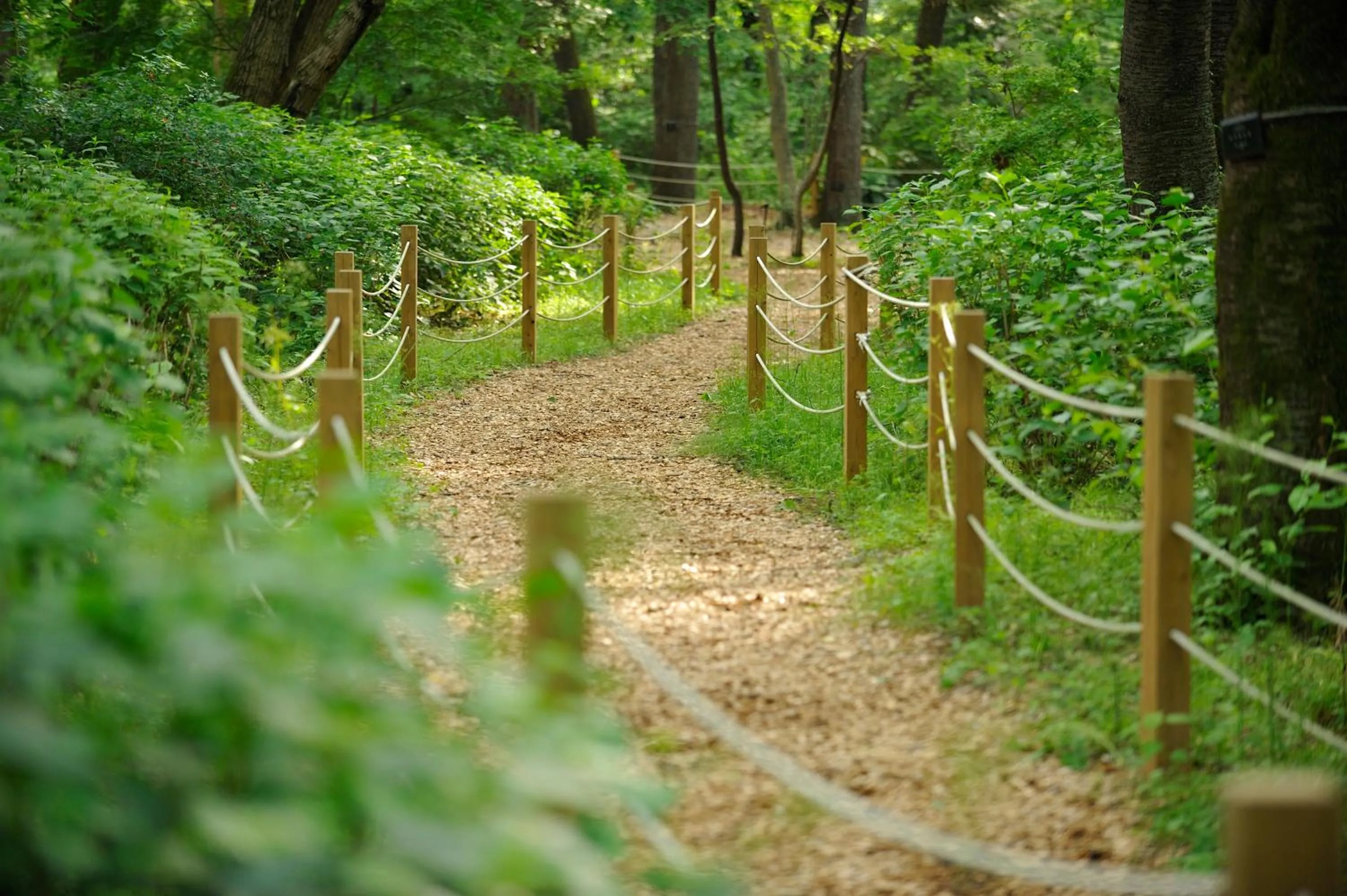Garden in Forest Inn Showakan (Okura Hotels & Resorts)