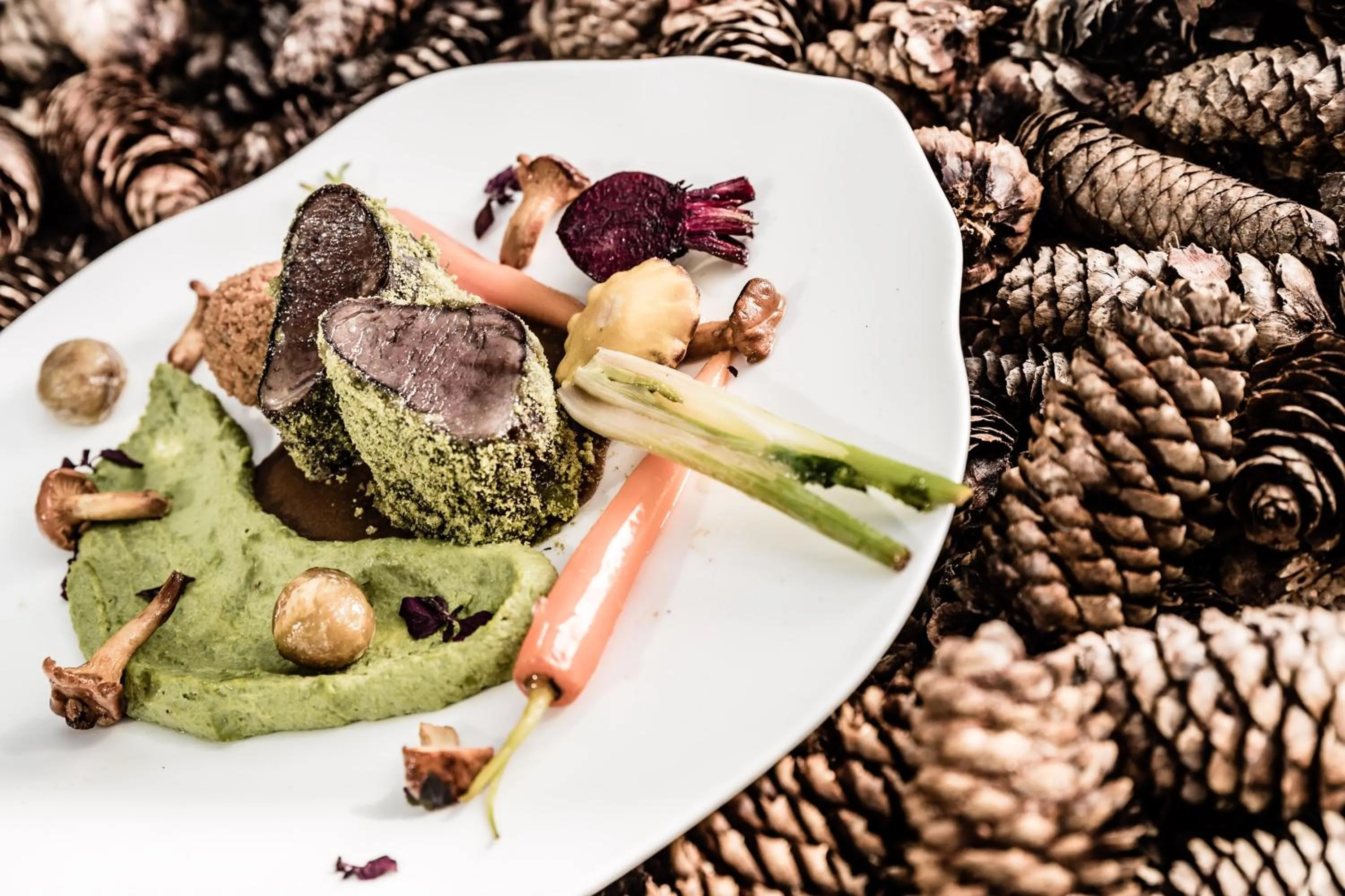 Food close-up in Josef Mountain Resort