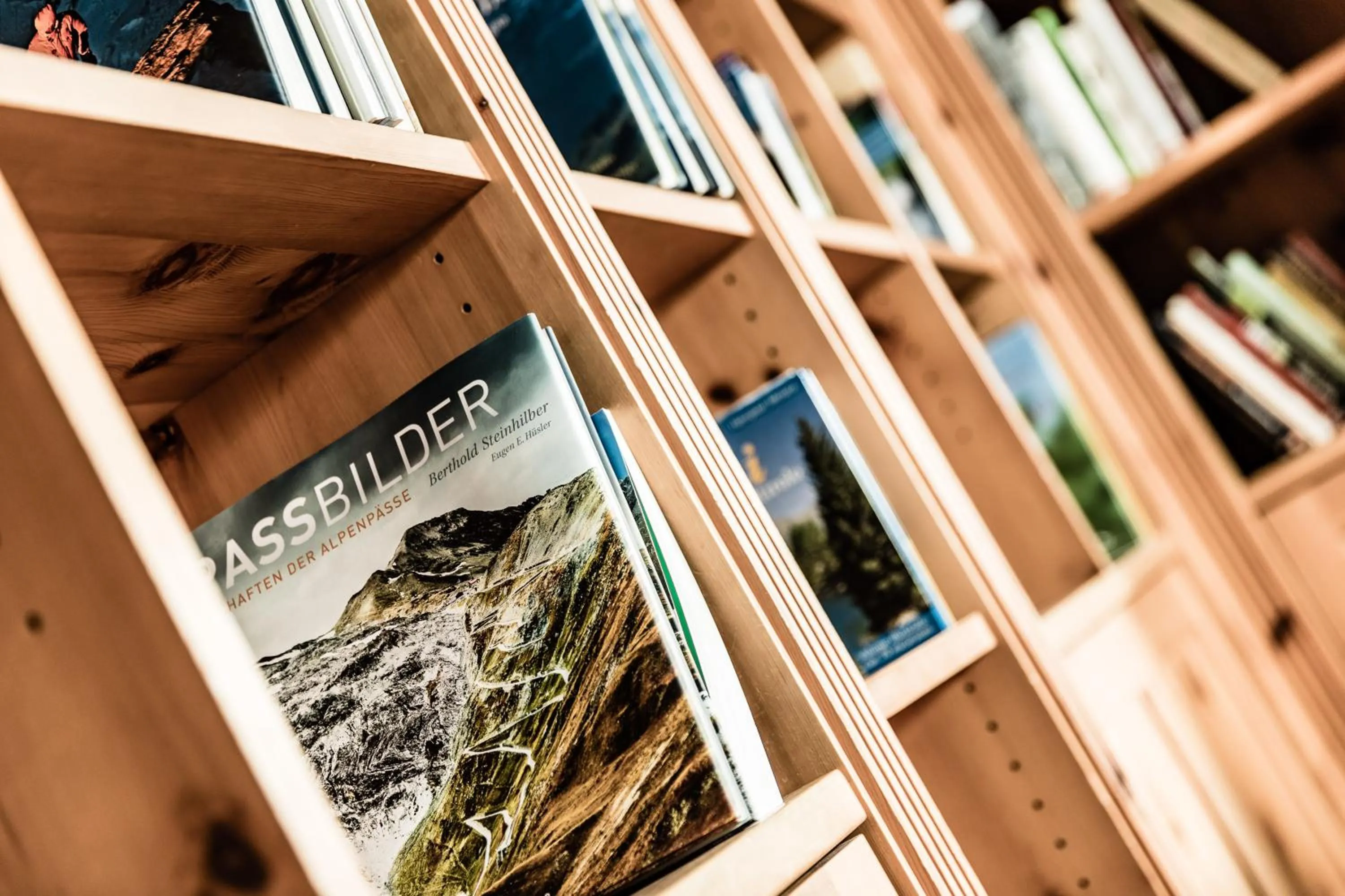Library in Josef Mountain Resort