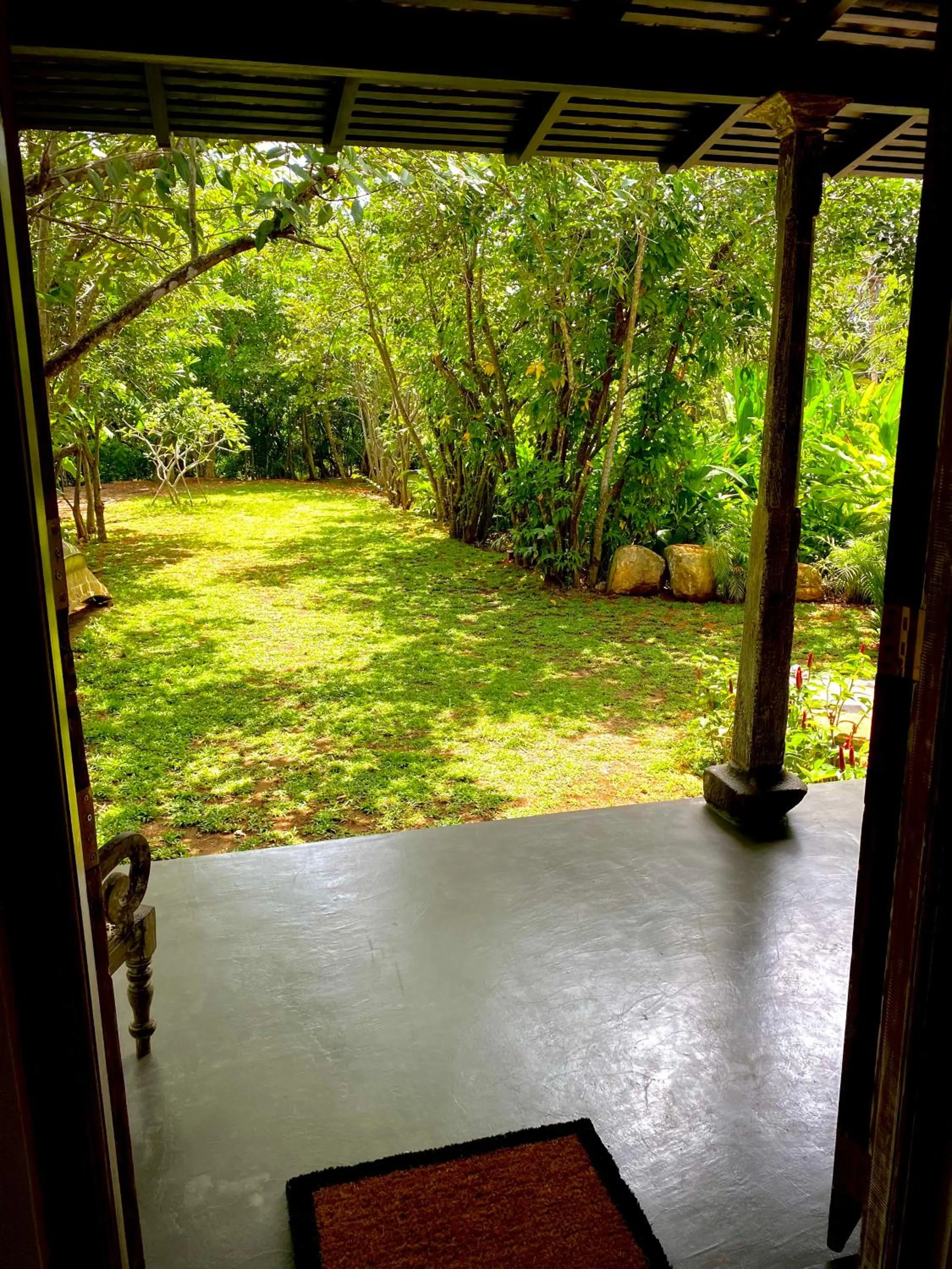 River view in Ginganga Lodge