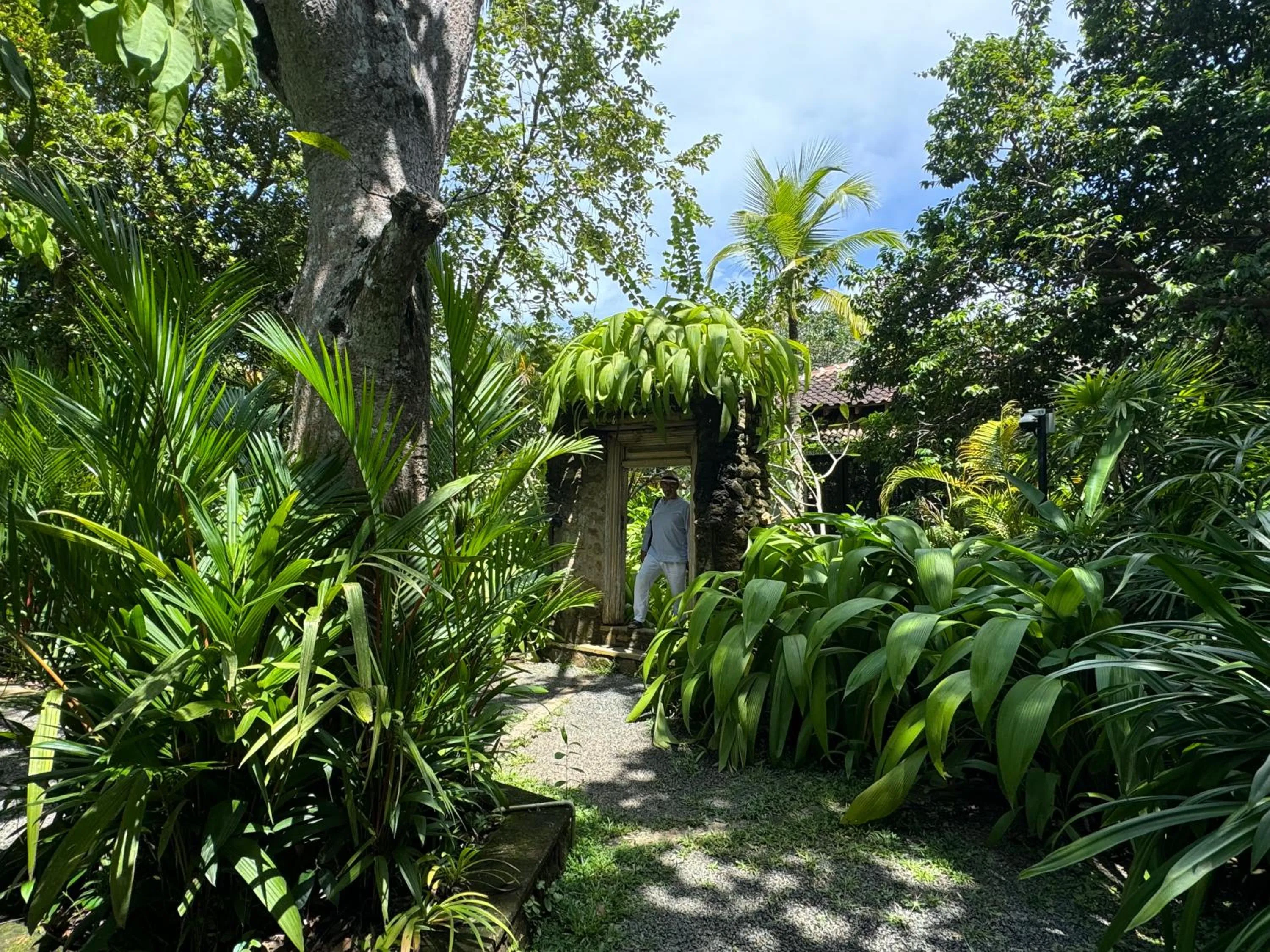 Garden in Ginganga Lodge
