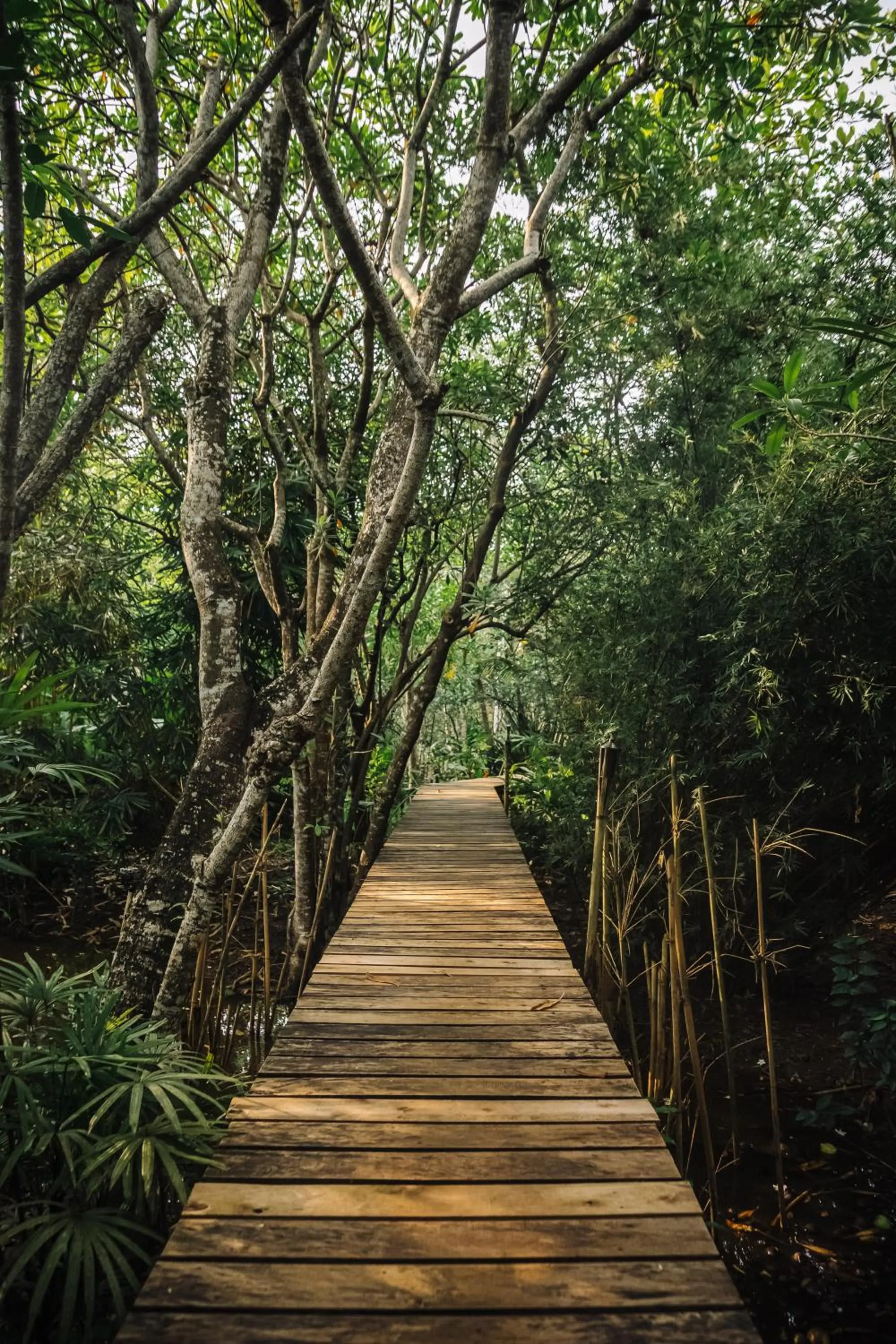 Property building in Ginganga Lodge