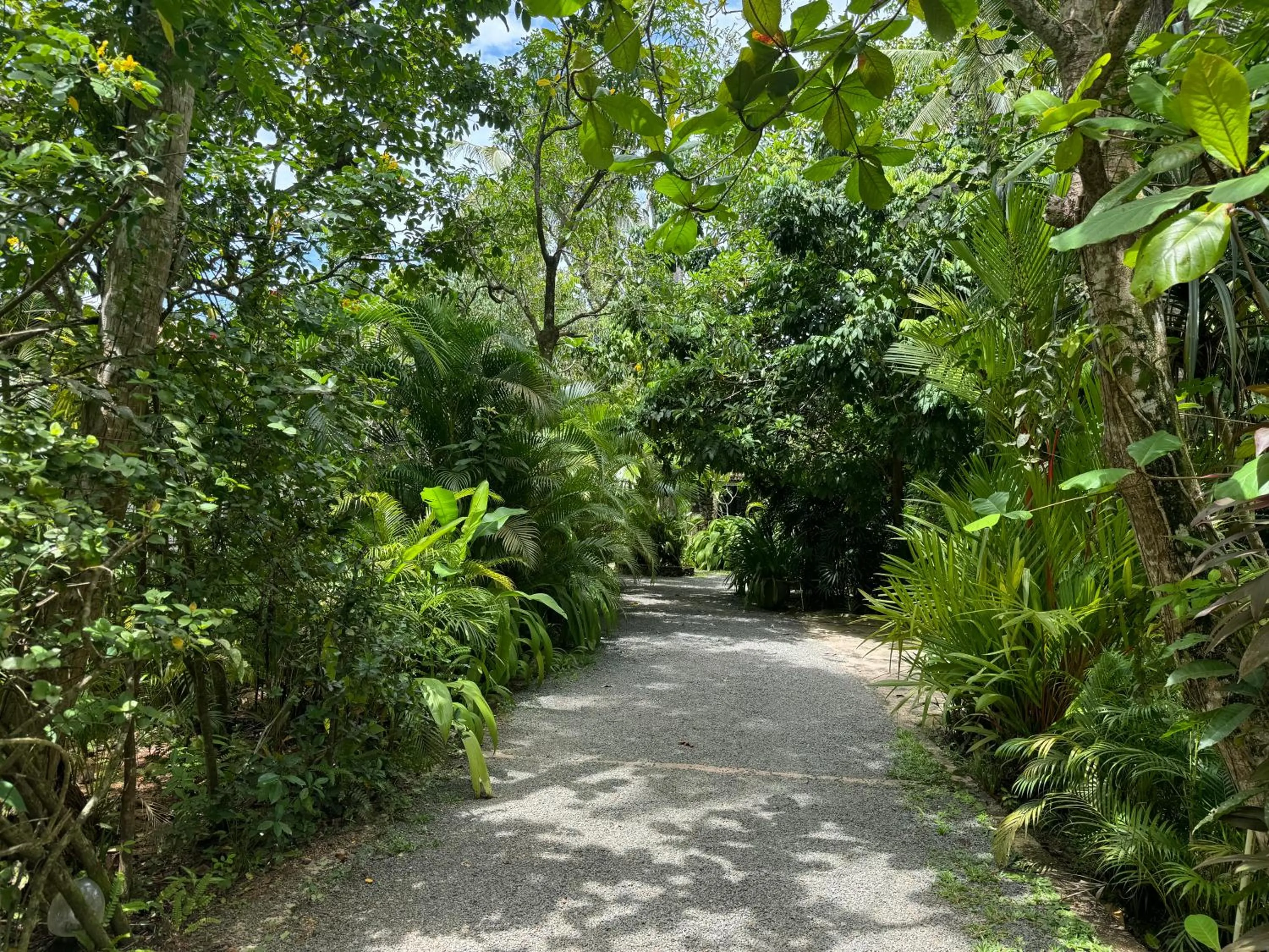 Garden in Ginganga Lodge