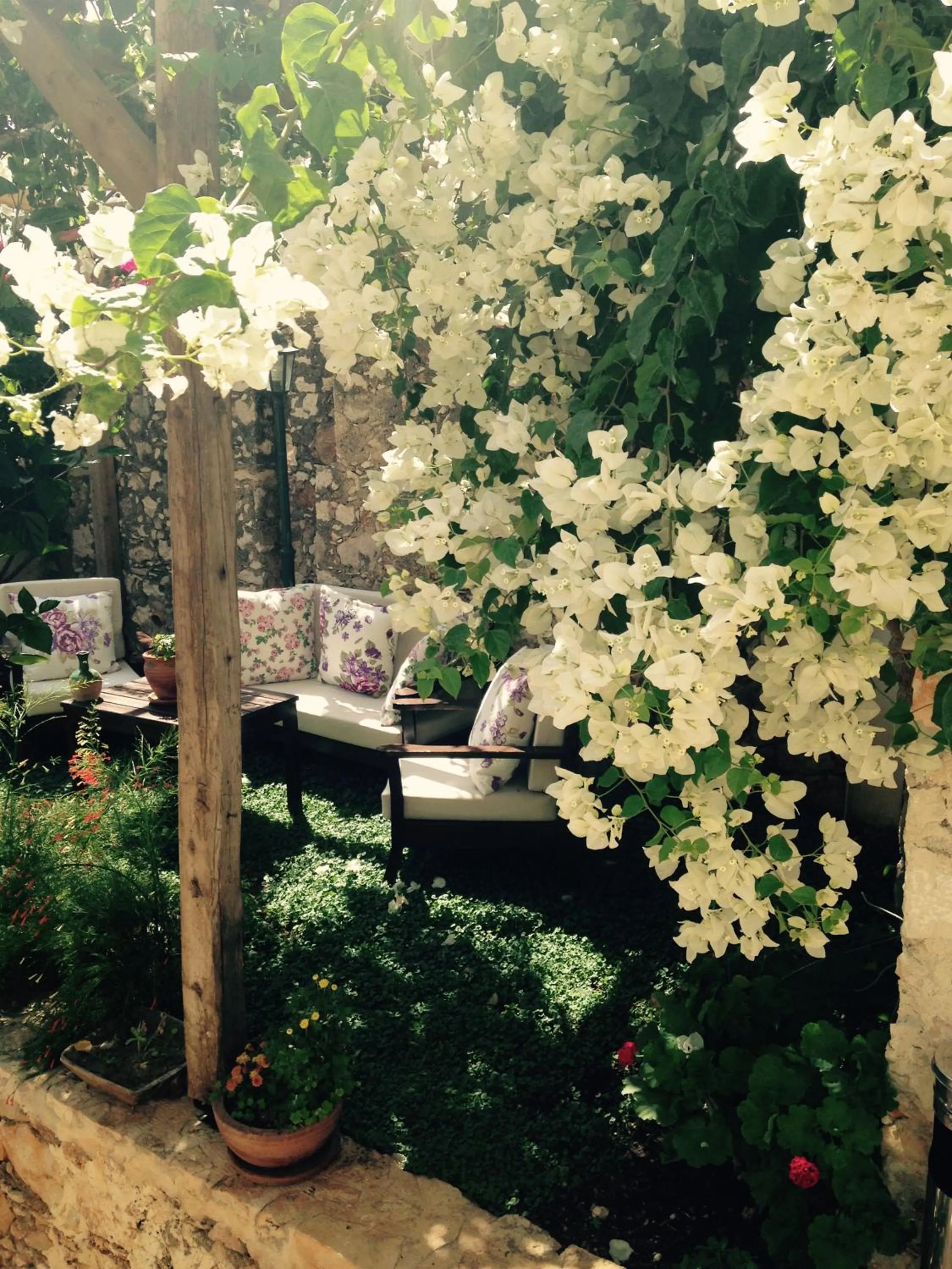 Day in The White House Kalkan