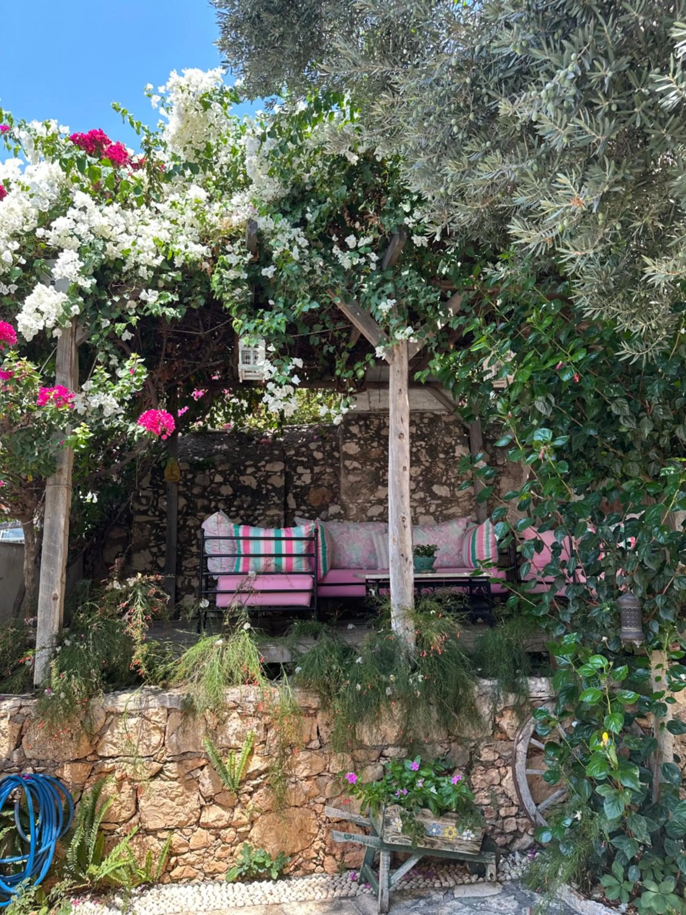 Day in The White House Kalkan