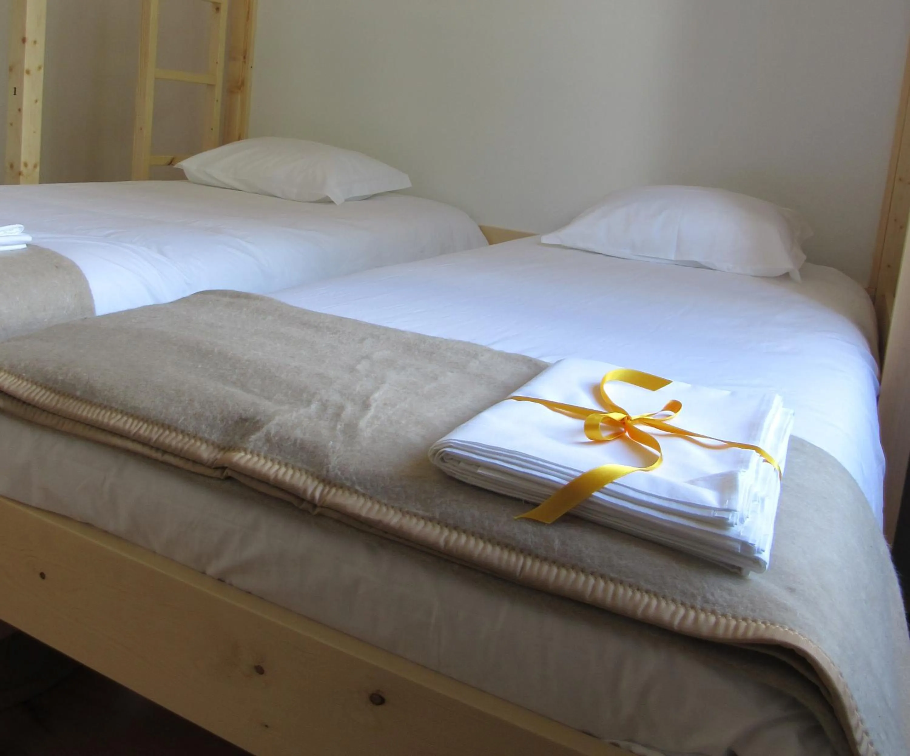 Garden in Most Art Boutique Hostel