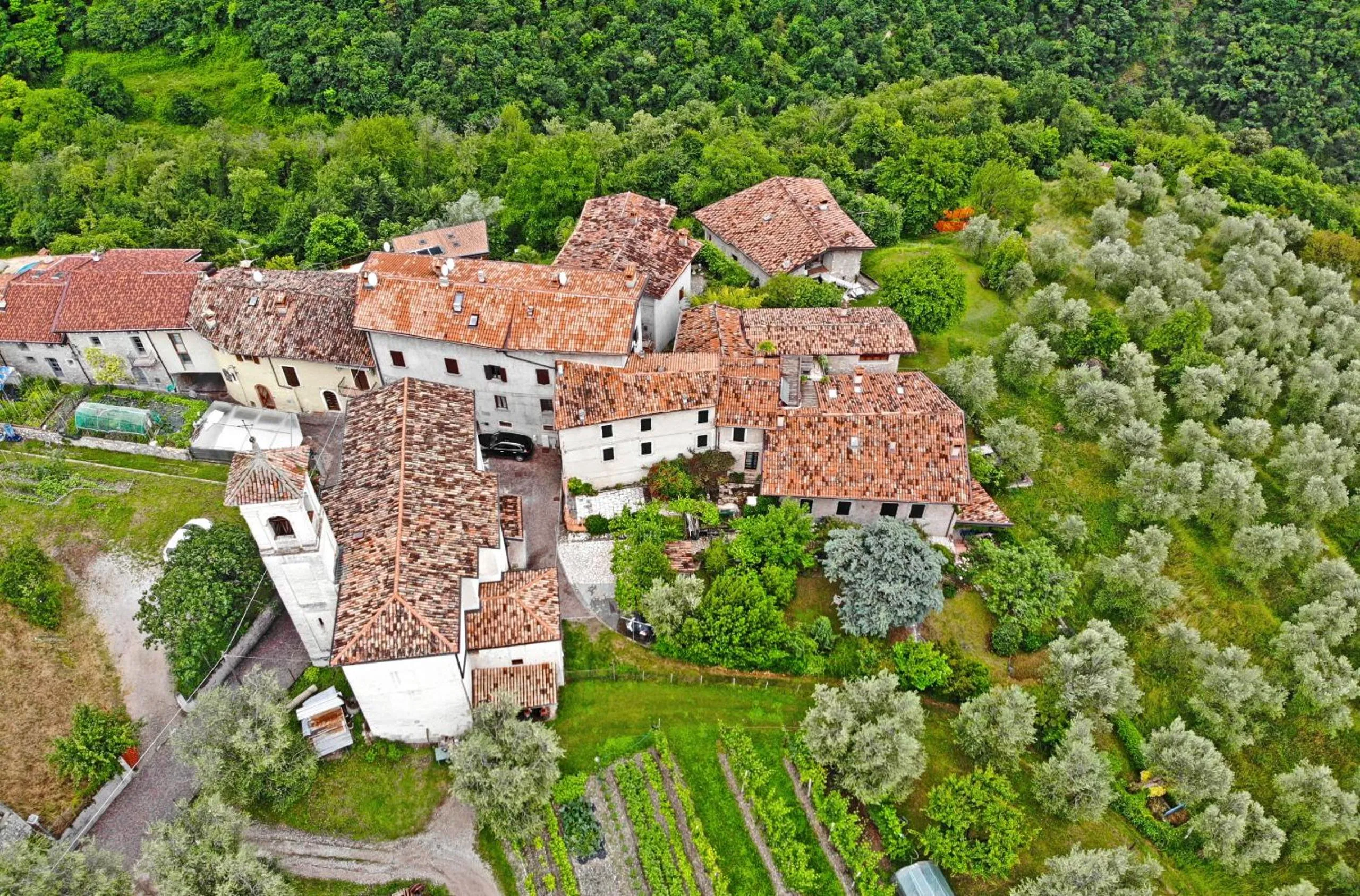 Neighbourhood in Casa Gina Garden and view by Gardadomusmea