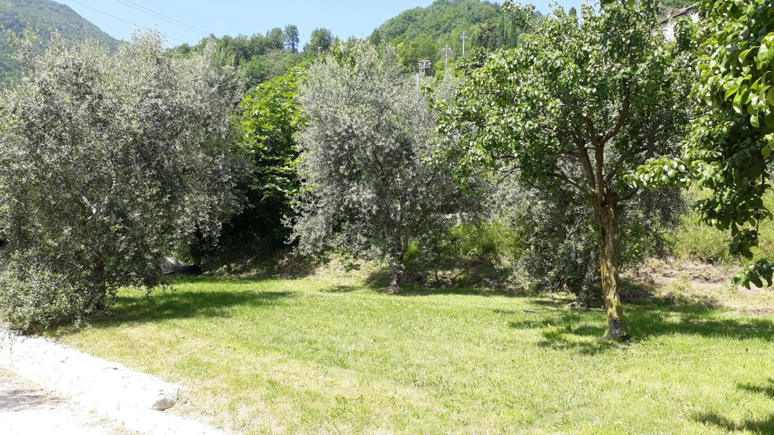 Natural landscape in Casa Gina Garden and view by Gardadomusmea