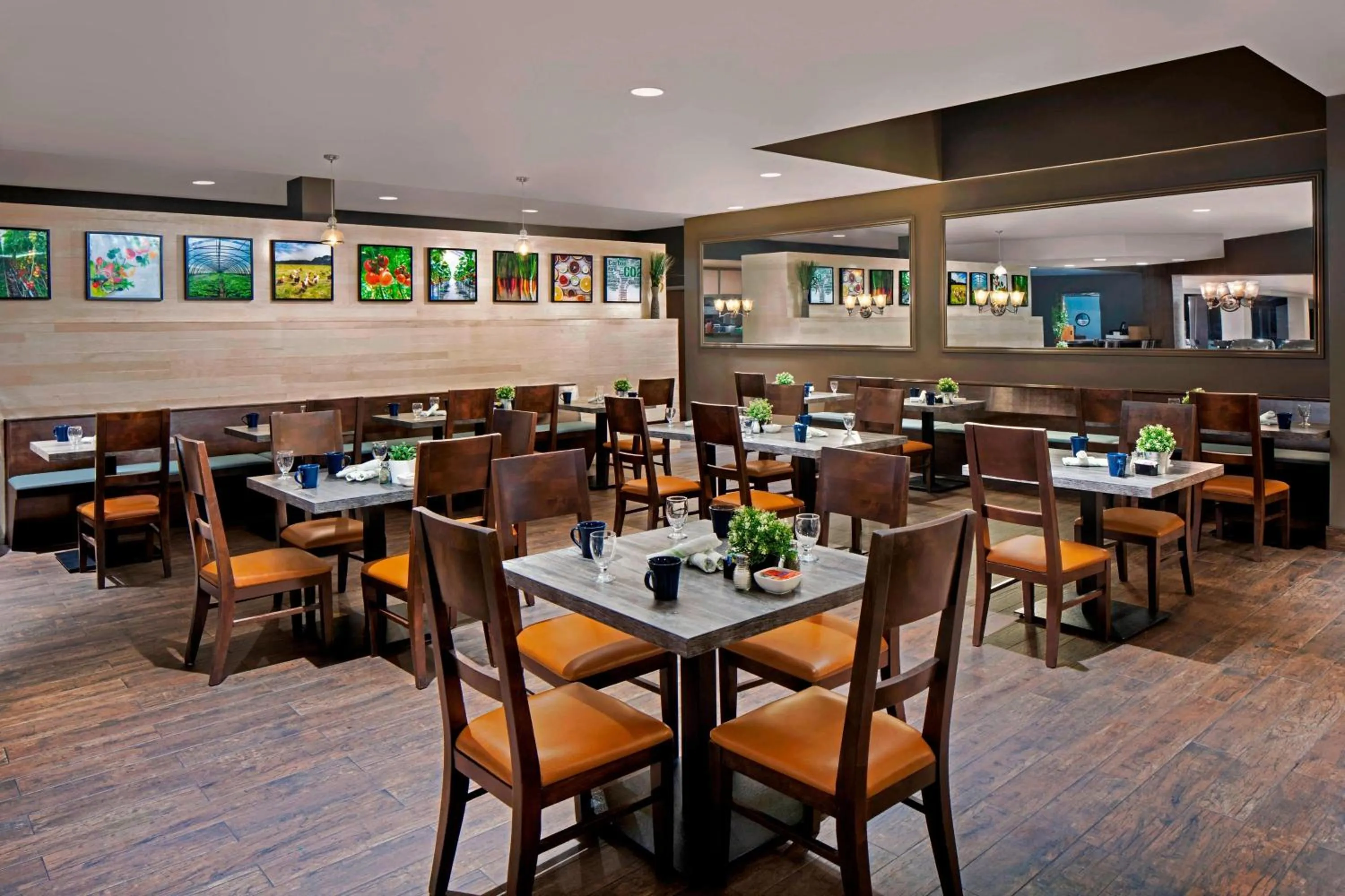 Restaurant/places to eat in Four Points by Sheraton Anaheim
