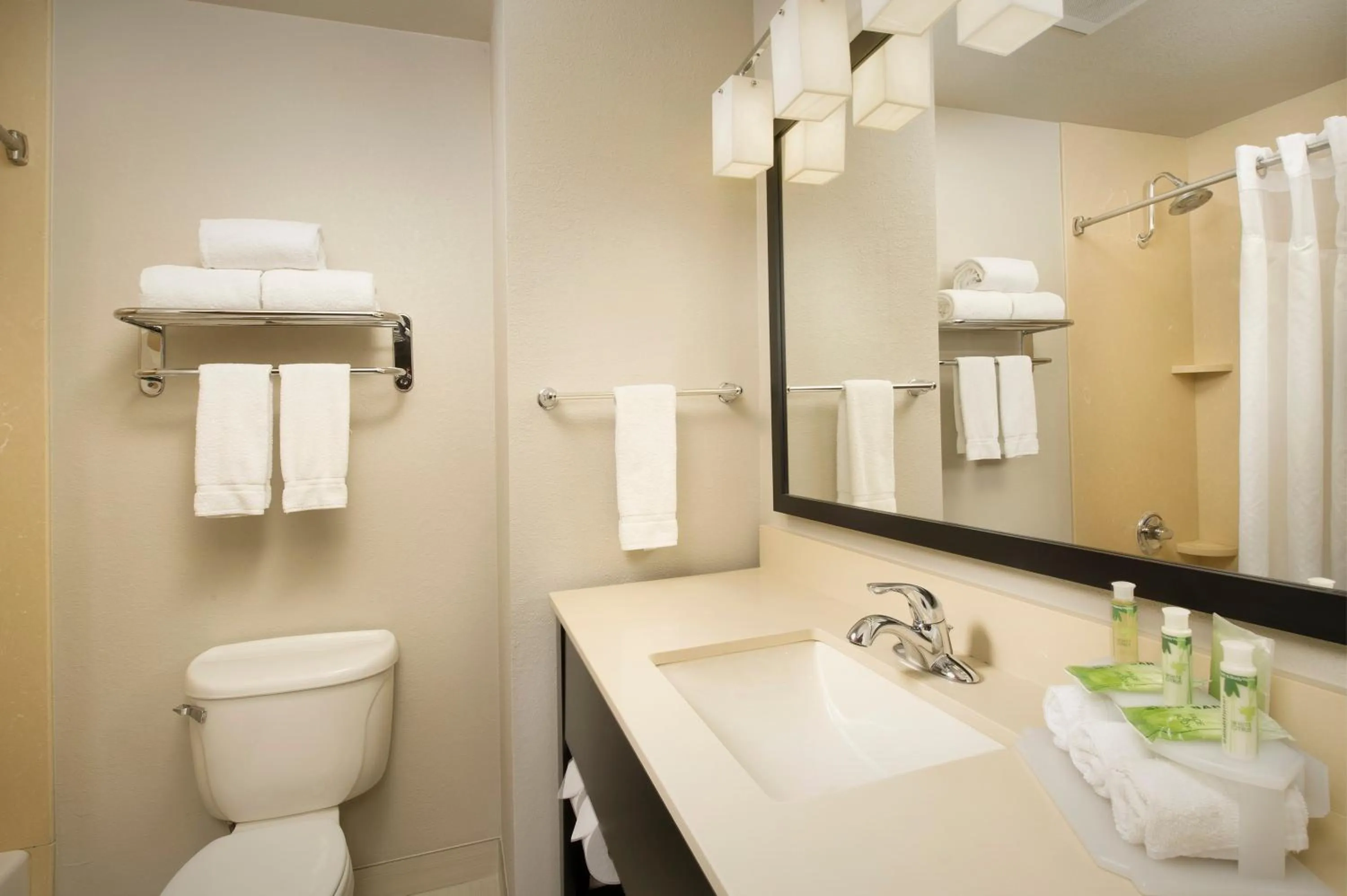 Bathroom in Holiday Inn Express Hotel and Suites DFW-Grapevine by IHG