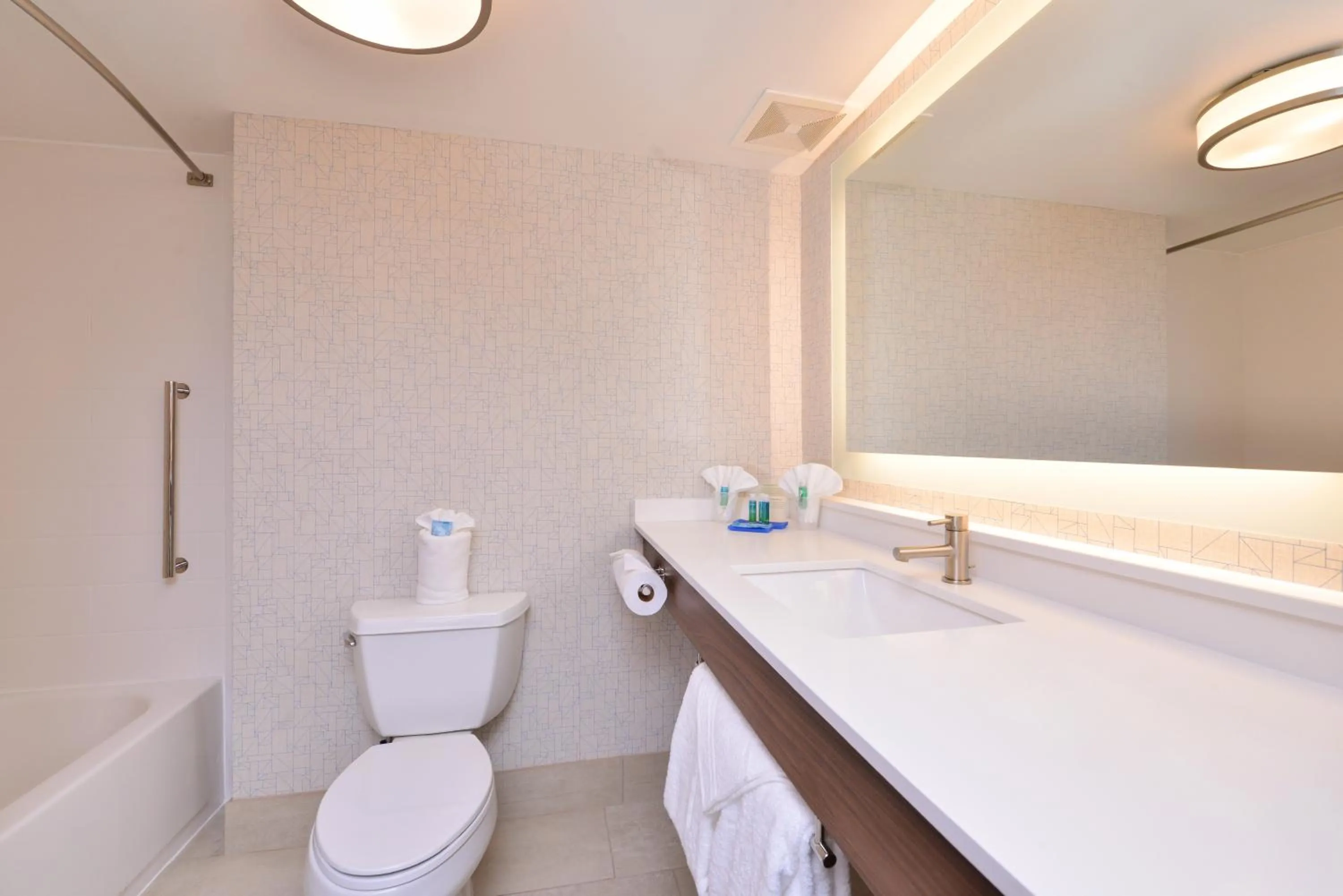 Bathroom in Holiday Inn Express & Suites Indianapolis Dtn-Conv Ctr Area by IHG