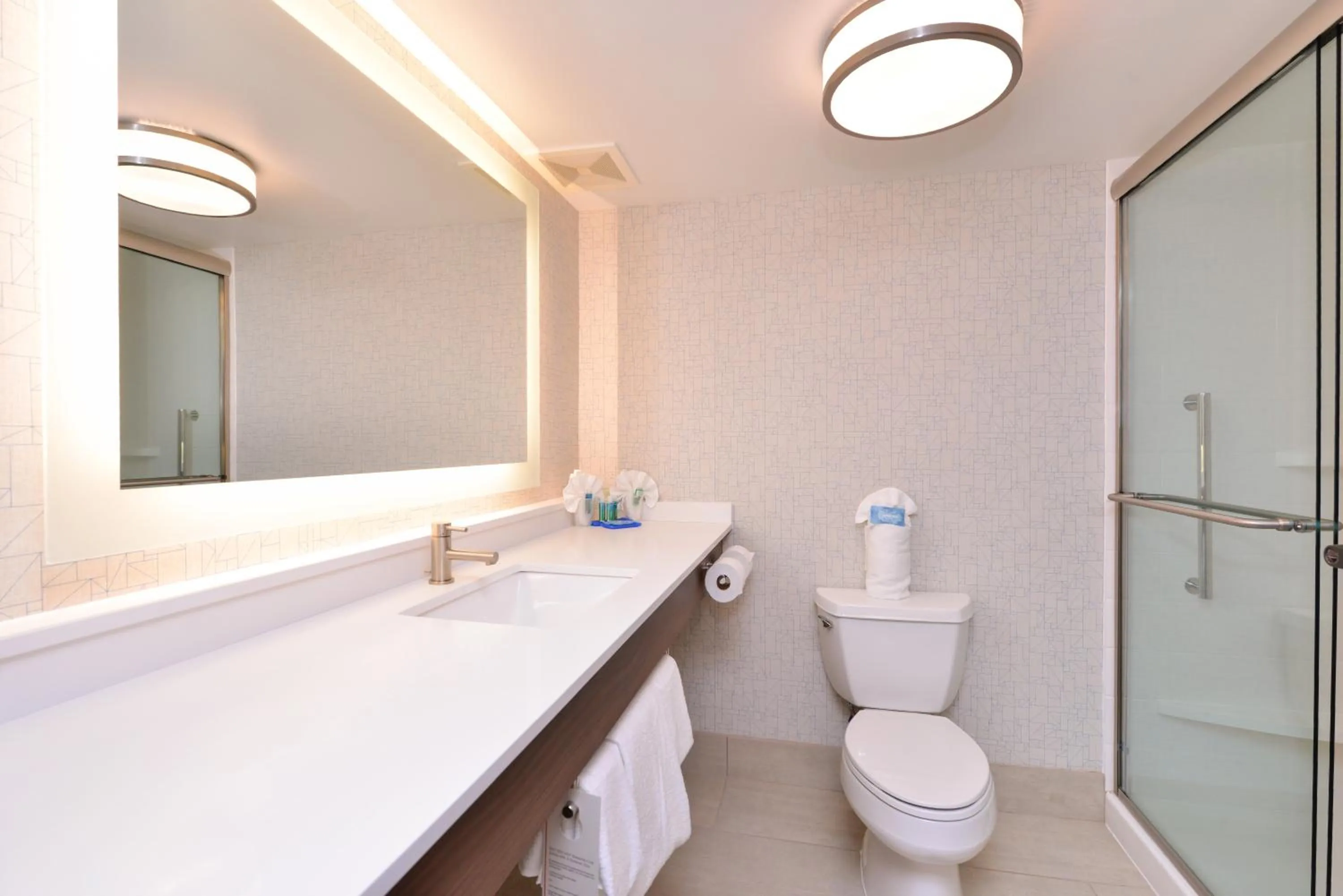 Bathroom in Holiday Inn Express & Suites Indianapolis Dtn-Conv Ctr Area by IHG