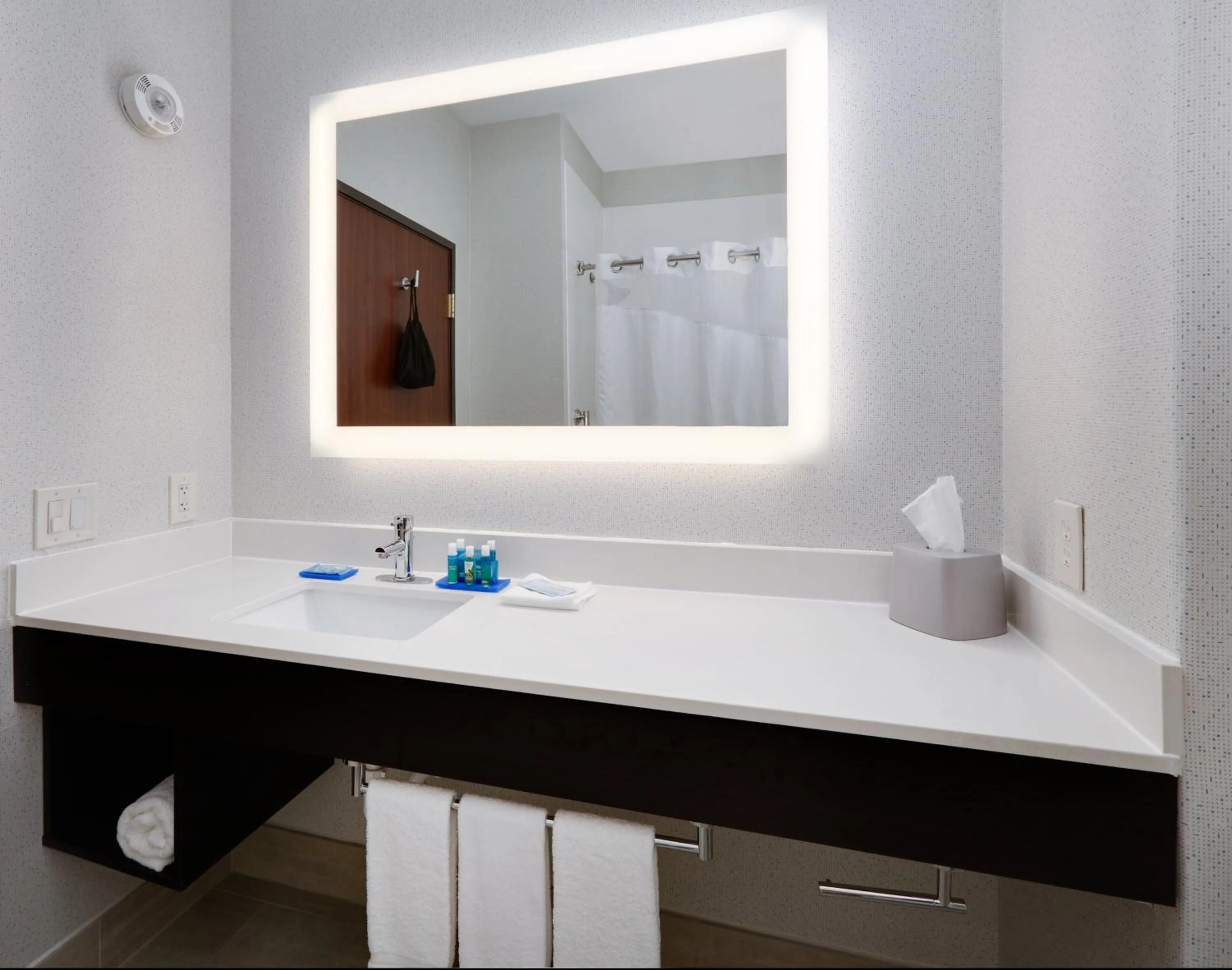 Bathroom in Holiday Inn Express & Suites Dallas - Duncanville by IHG