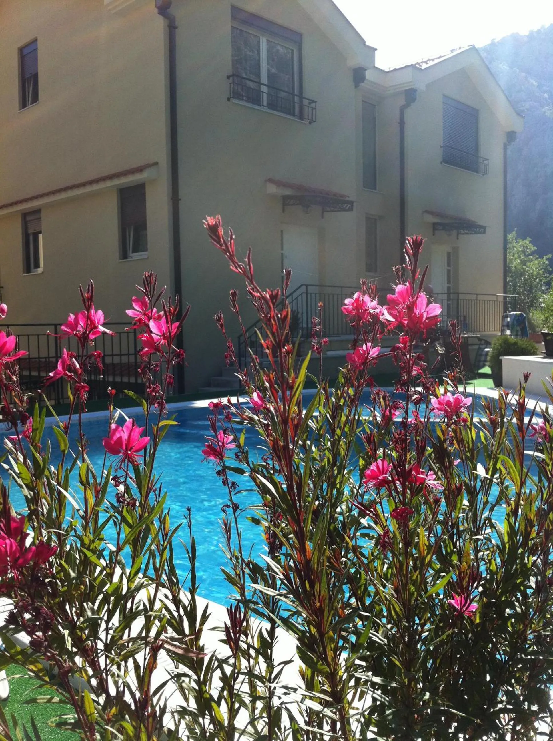 Apartment - Split Level in Apartments Villa Eden