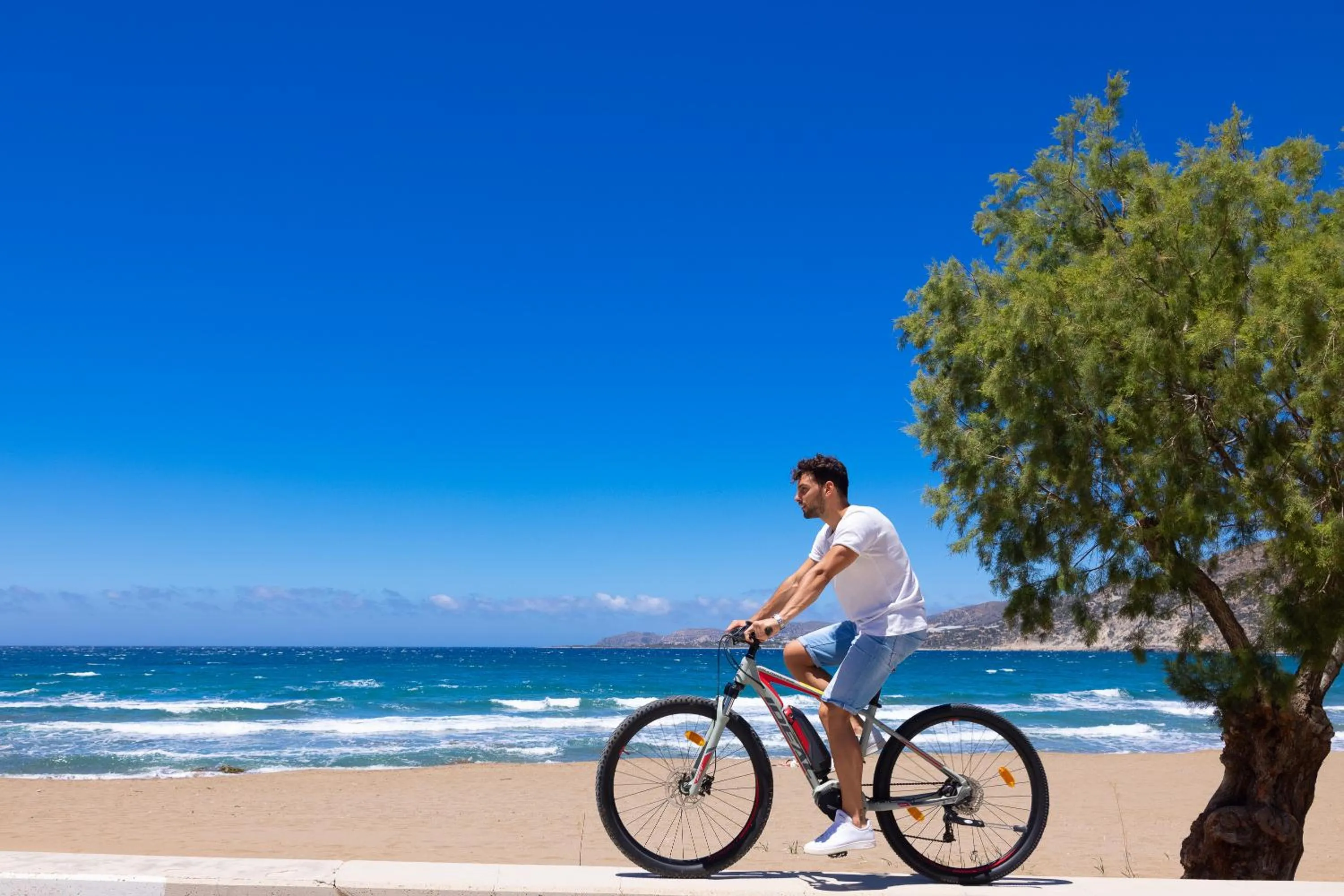 Beach in Blue Horizon