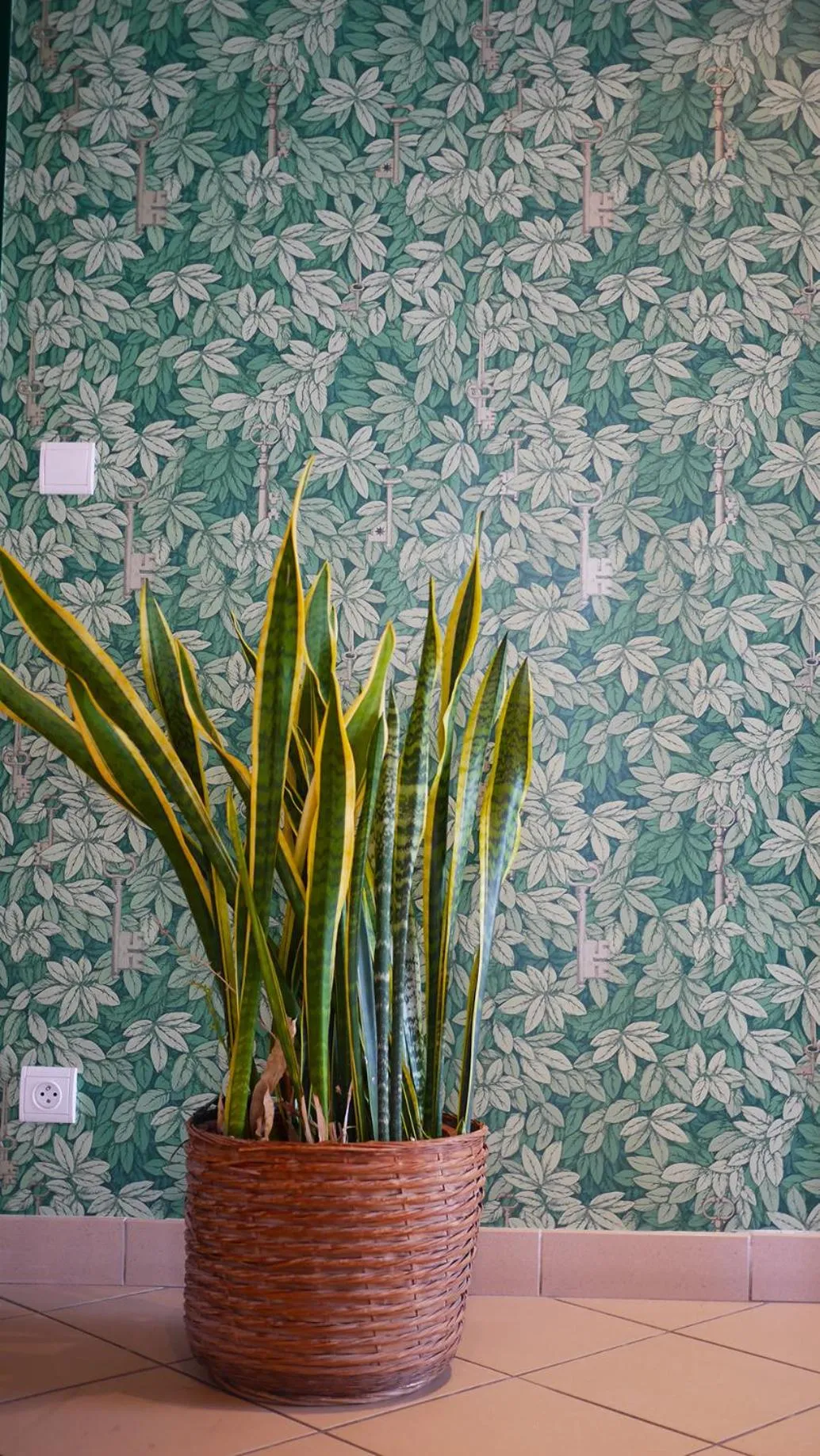 Logis Hôtel & Restaurant - Le Saint-Louis