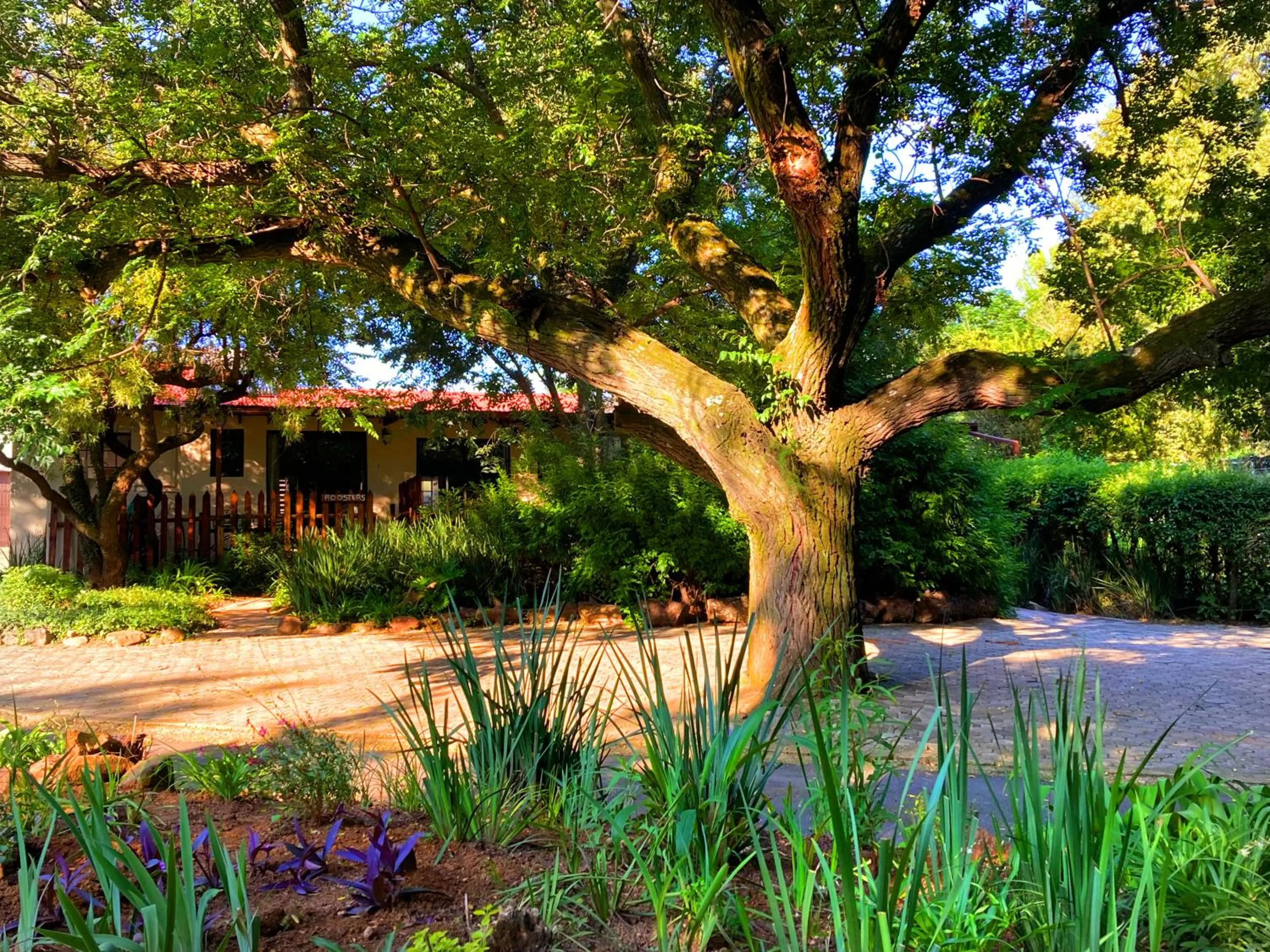 Property building in Pine Valley