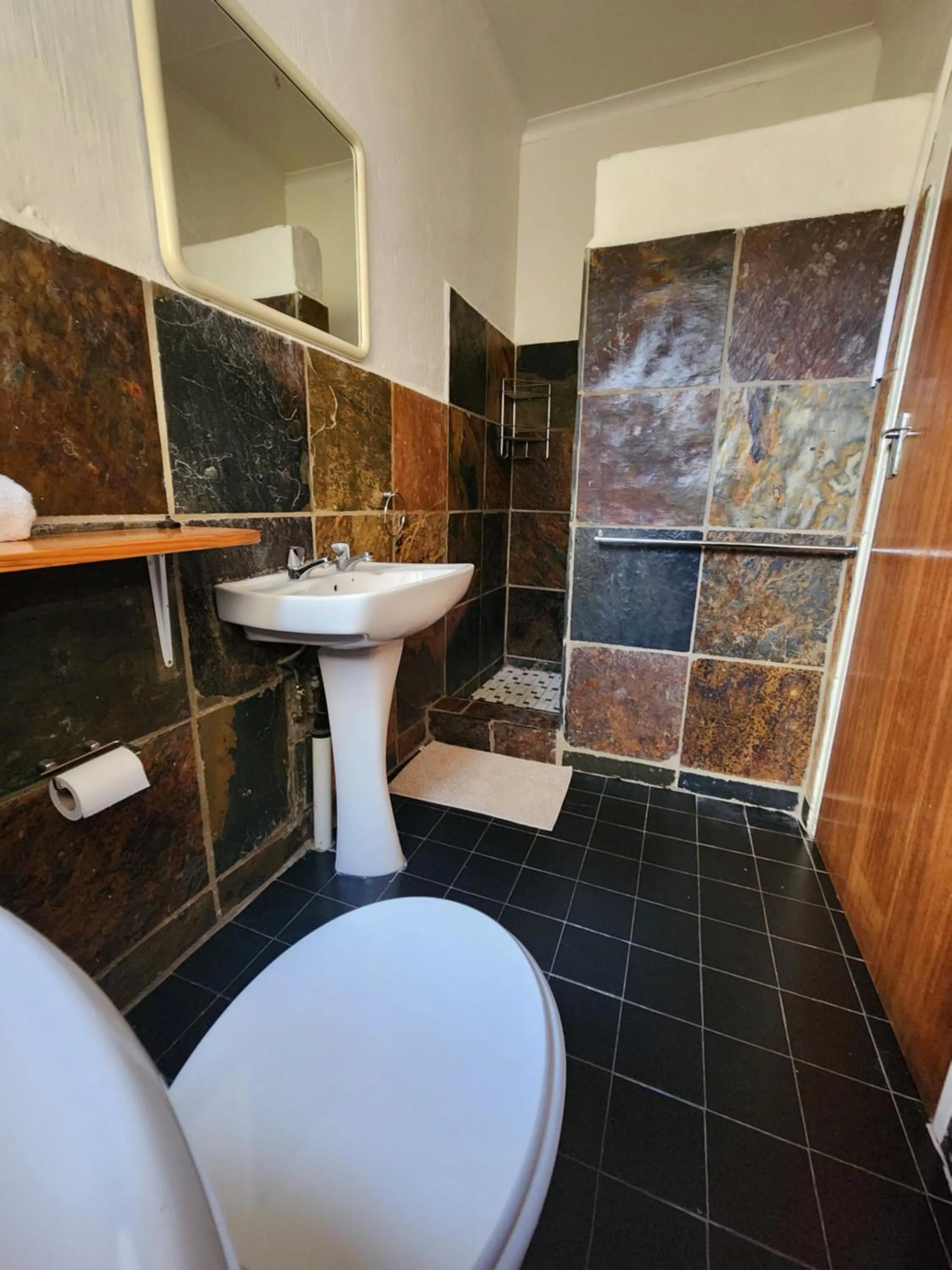 Toilet in Pine Valley