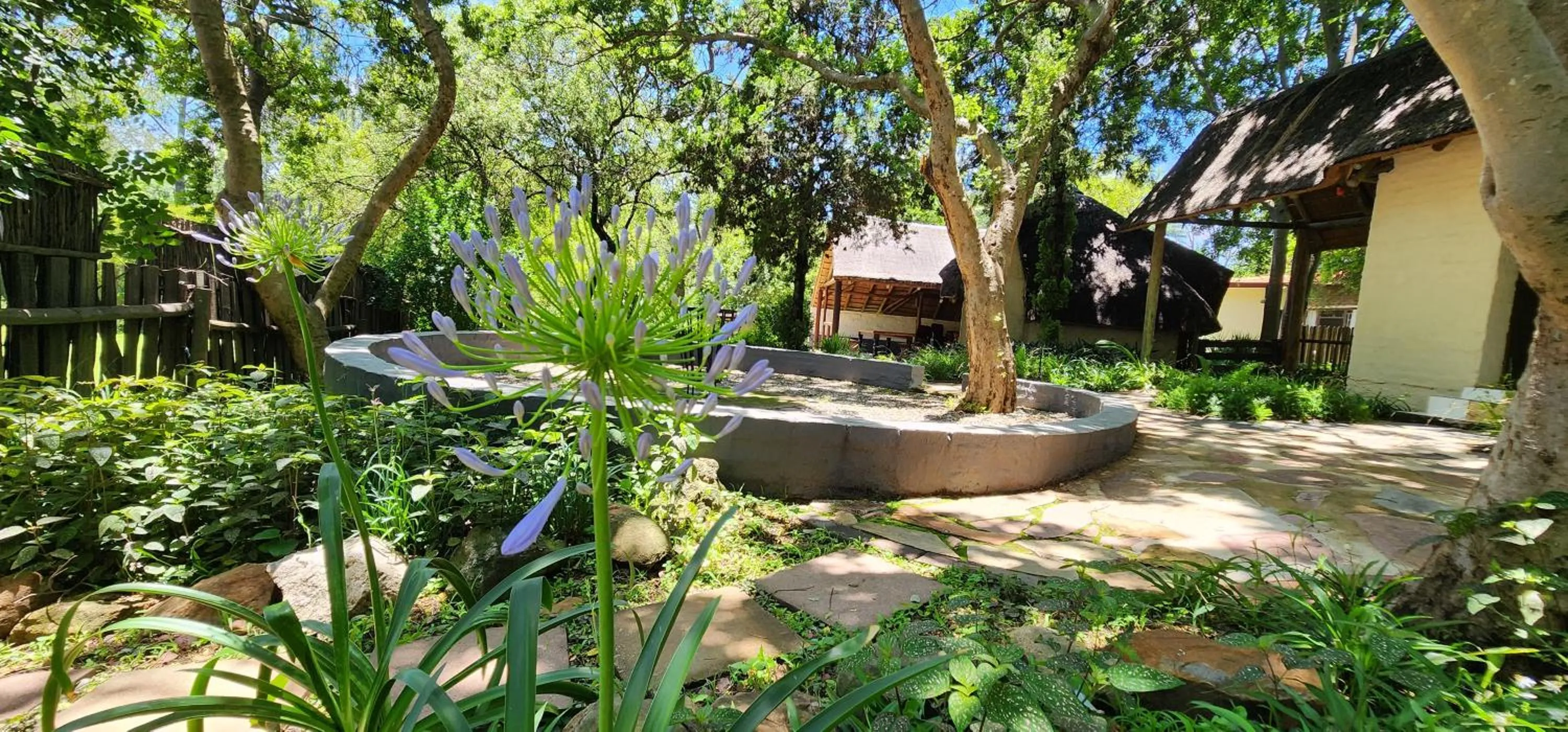 Property building in Pine Valley