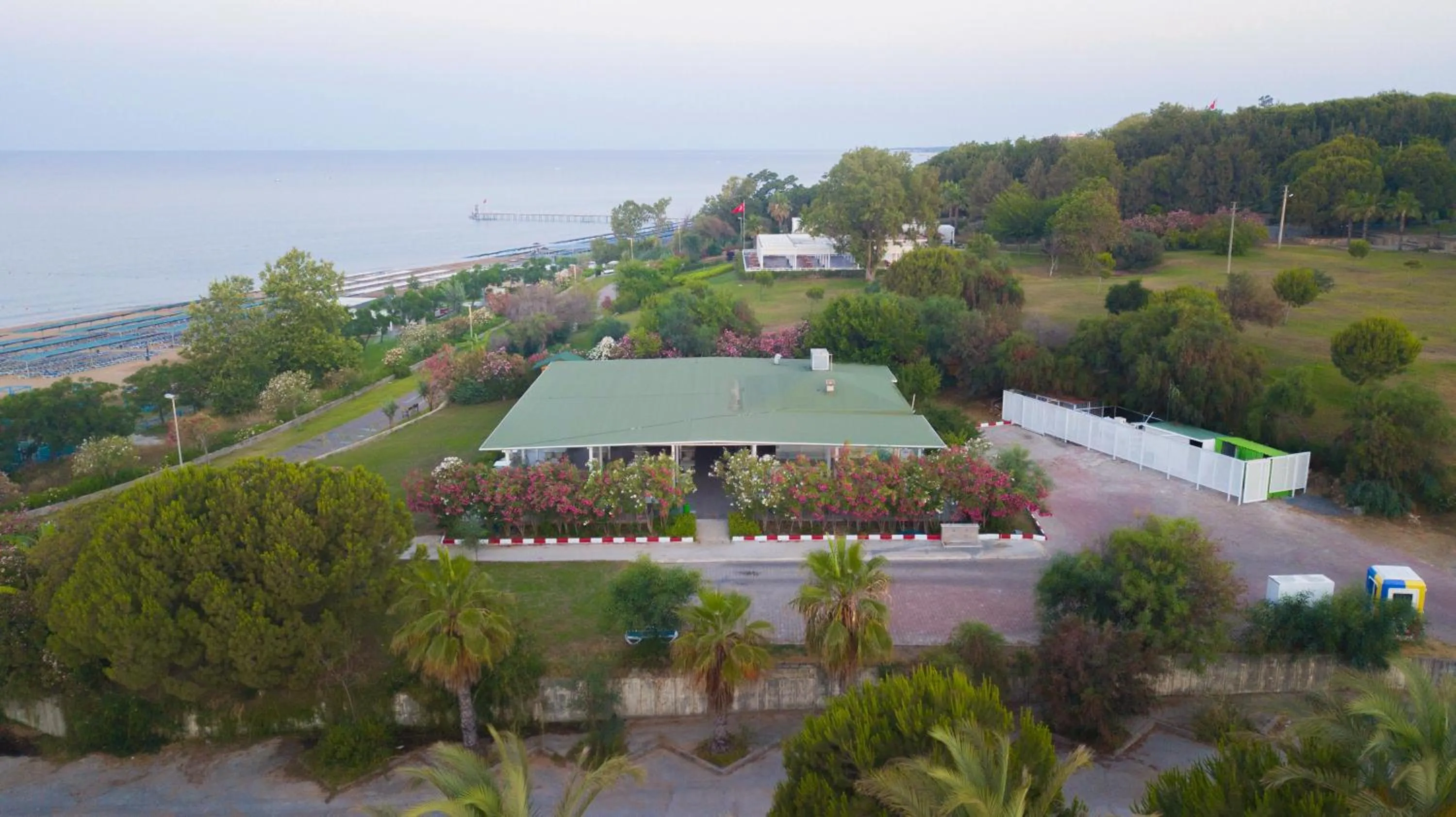 Day in Fun&Sun Smart Hane sun