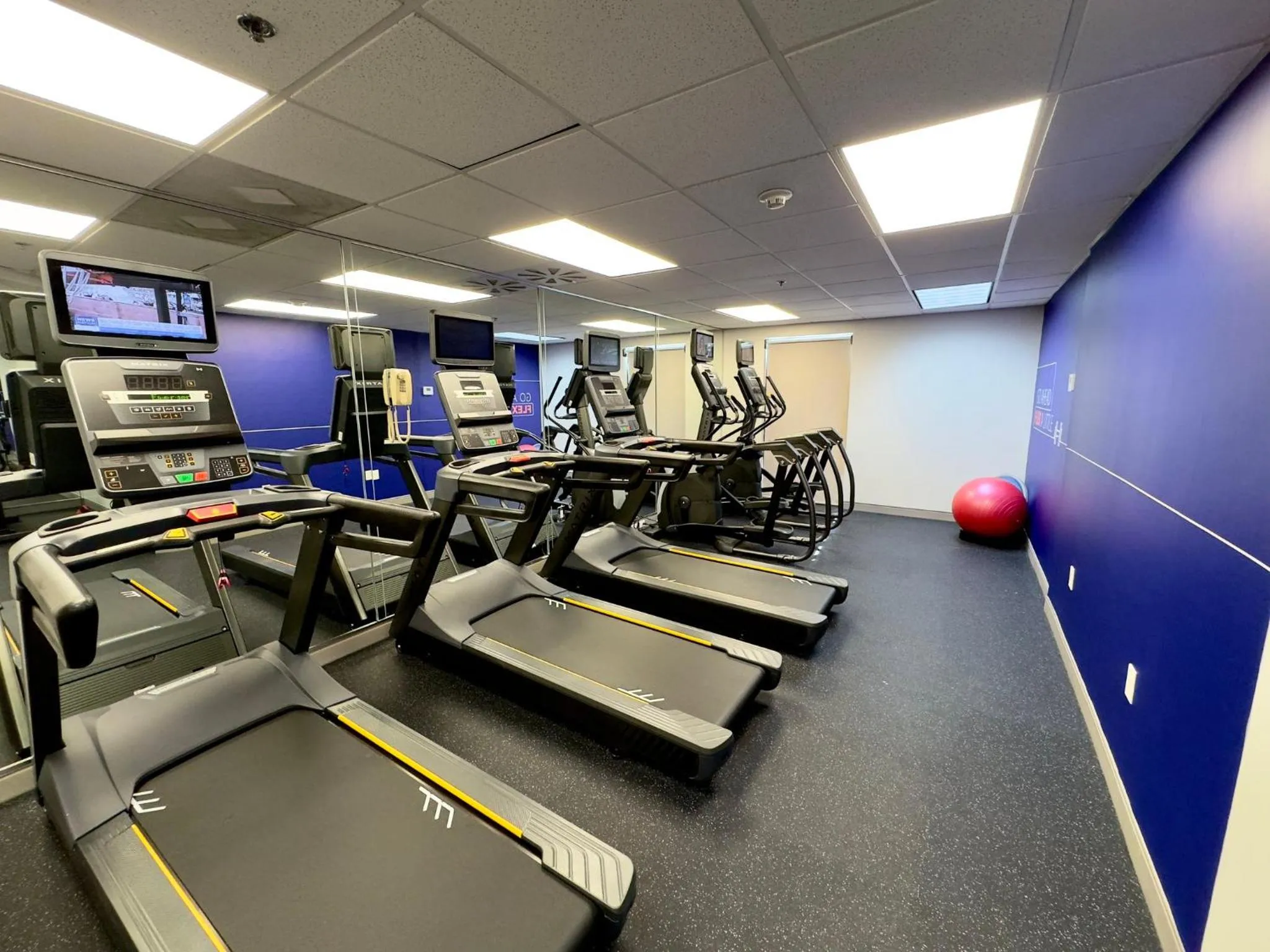 Fitness centre/facilities in Holiday Inn Express Hotel & Suites Tampa-Oldsmar by IHG