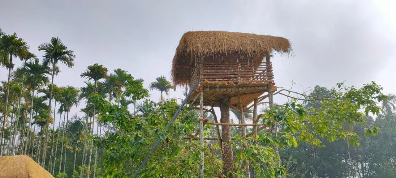 Wayanad Three Roots Holiday Home Resort