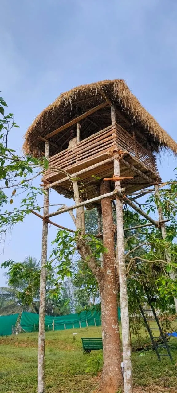 Wayanad Three Roots Holiday Home Resort