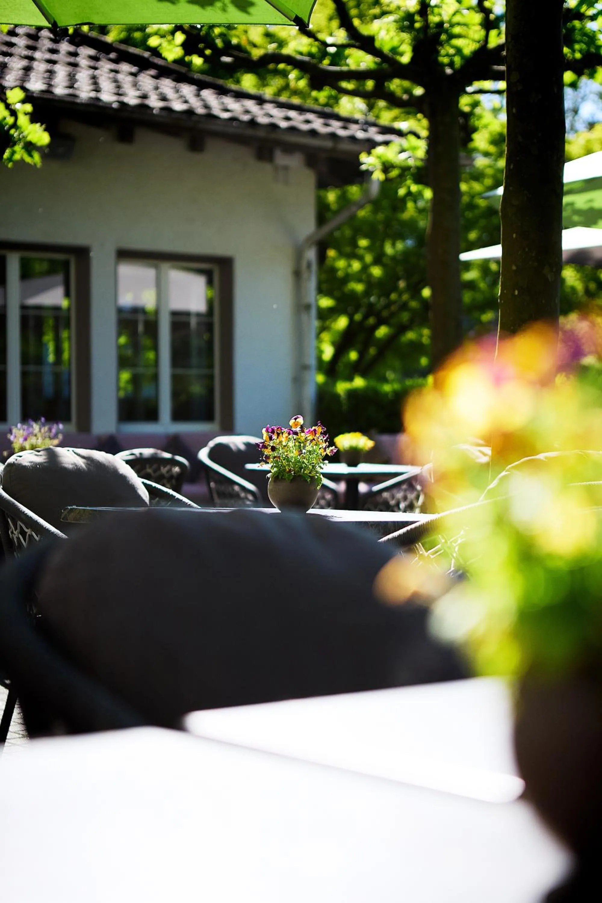 Spring in b-smart hotel Widnau