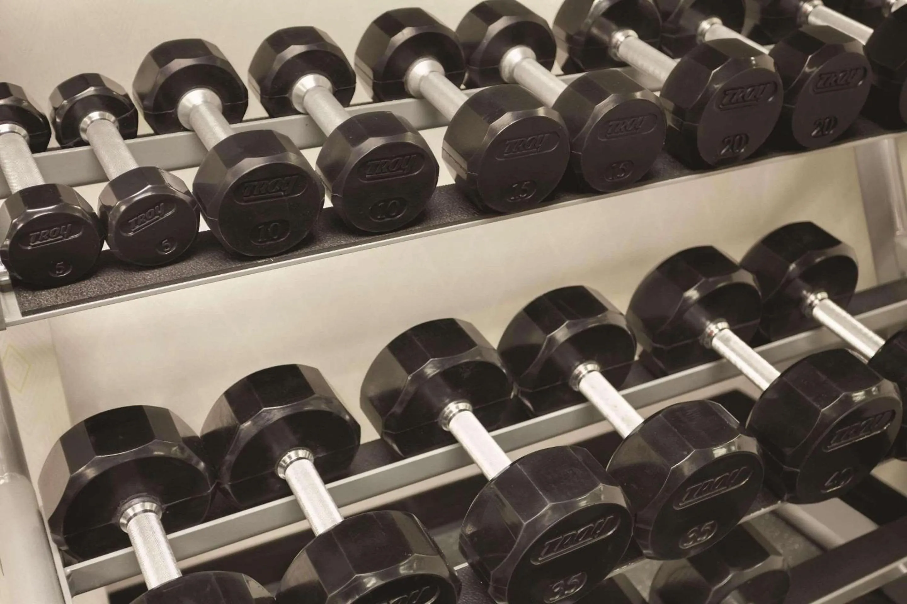 Fitness centre/facilities in Pace Hotel Addison