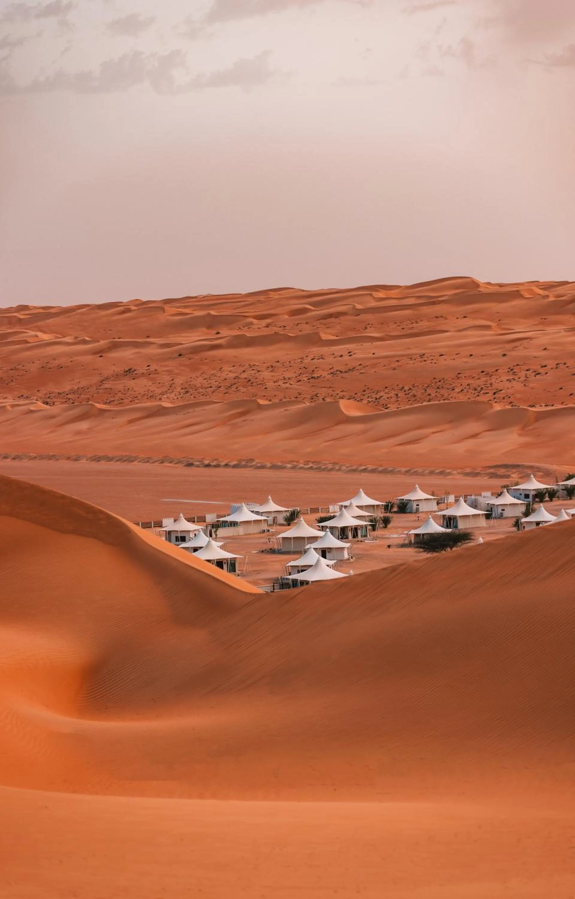 Property building in Desert Nights Resort