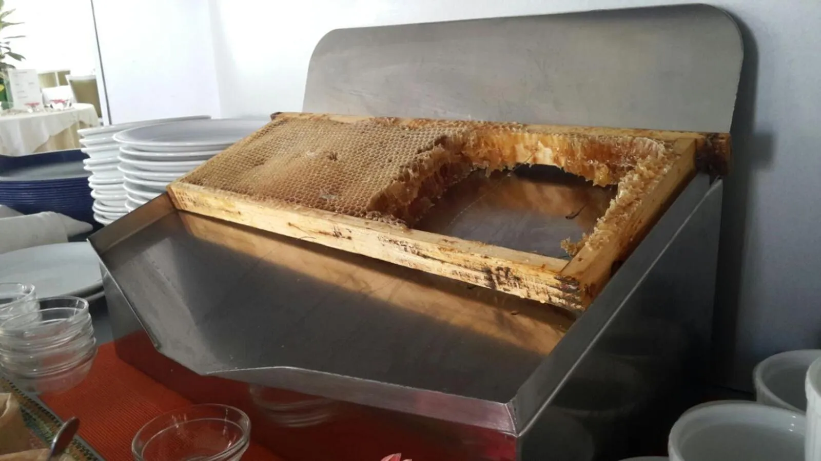 Hotel Caribia Pinarella