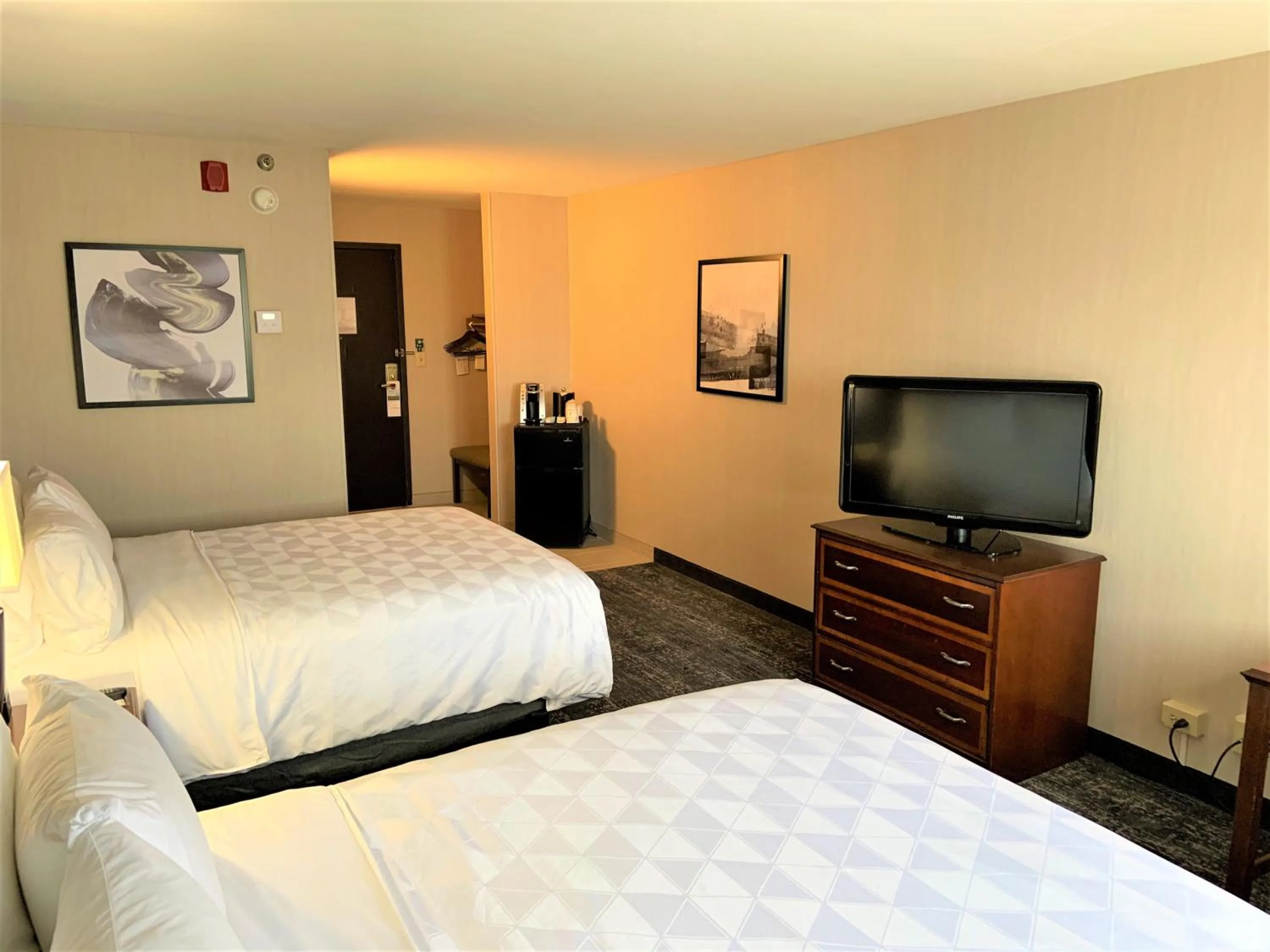 Photo of the whole room, Bed in Holiday Inn & Suites Chicago-Carol Stream Wheaton by IHG