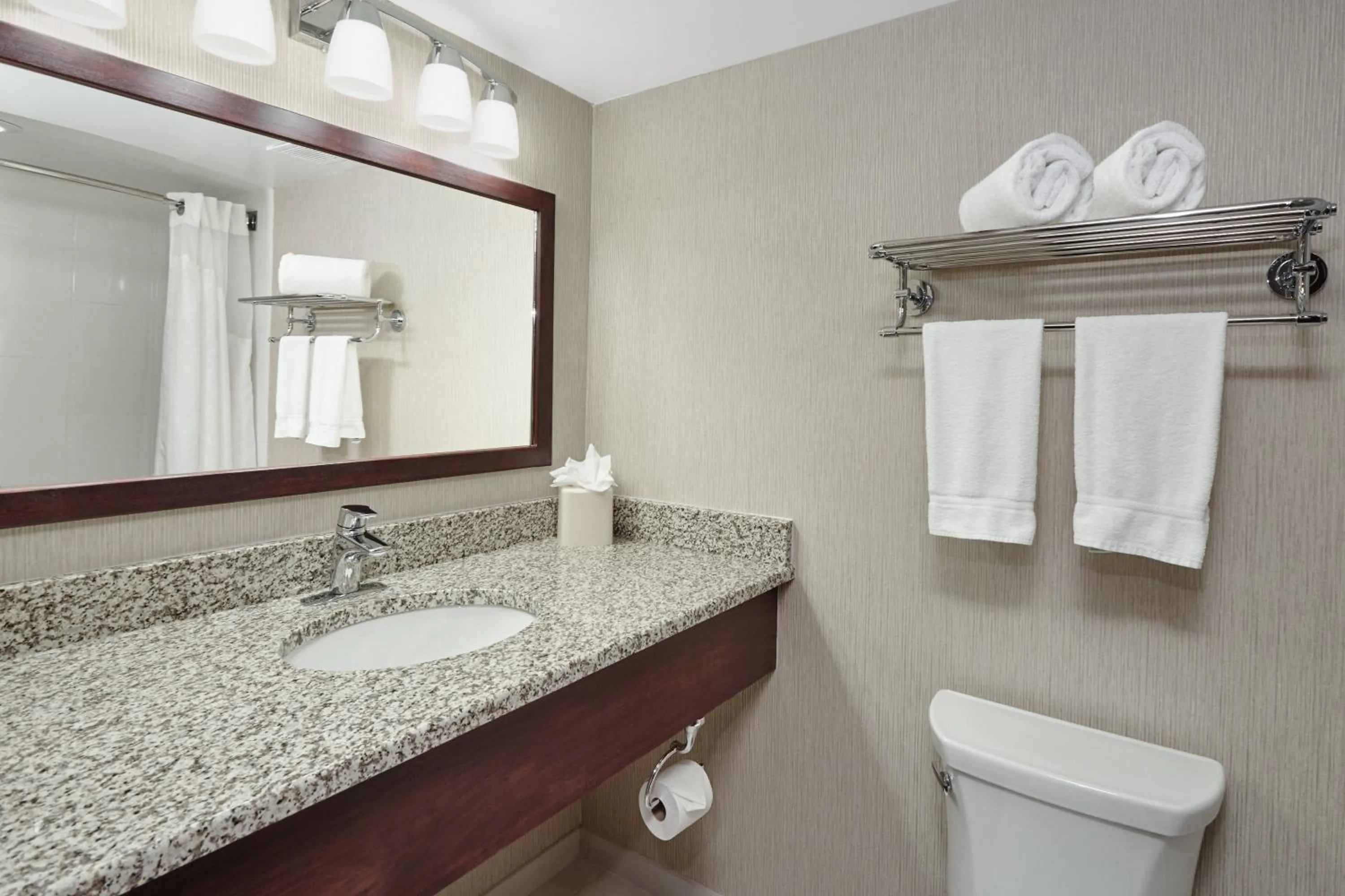 Bathroom in Holiday Inn & Suites Chicago-Carol Stream Wheaton by IHG
